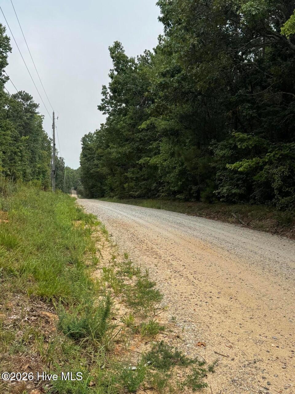 Photo 3 of Land for sale at 00 Gabe Rd, Saluda, SC 29138 | MLS# 100609162 | Listing updated on 2026-10-08