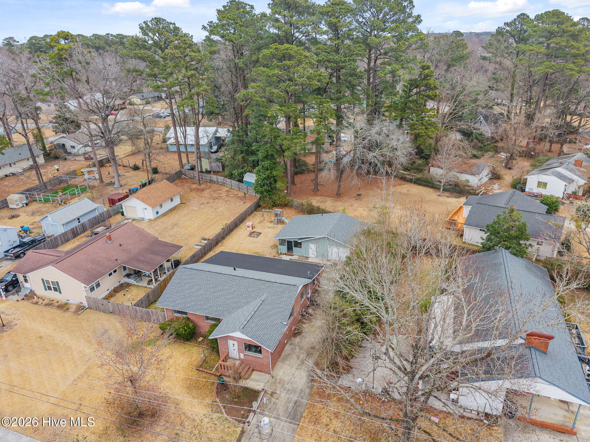 100555737 | Photo 50