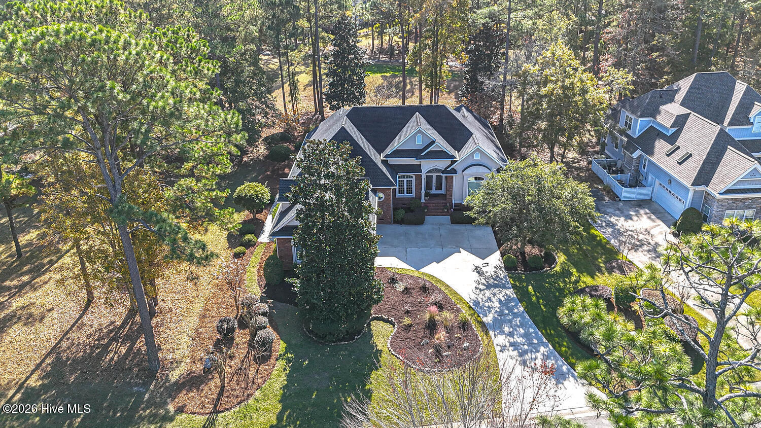 100551245 | Photo 67