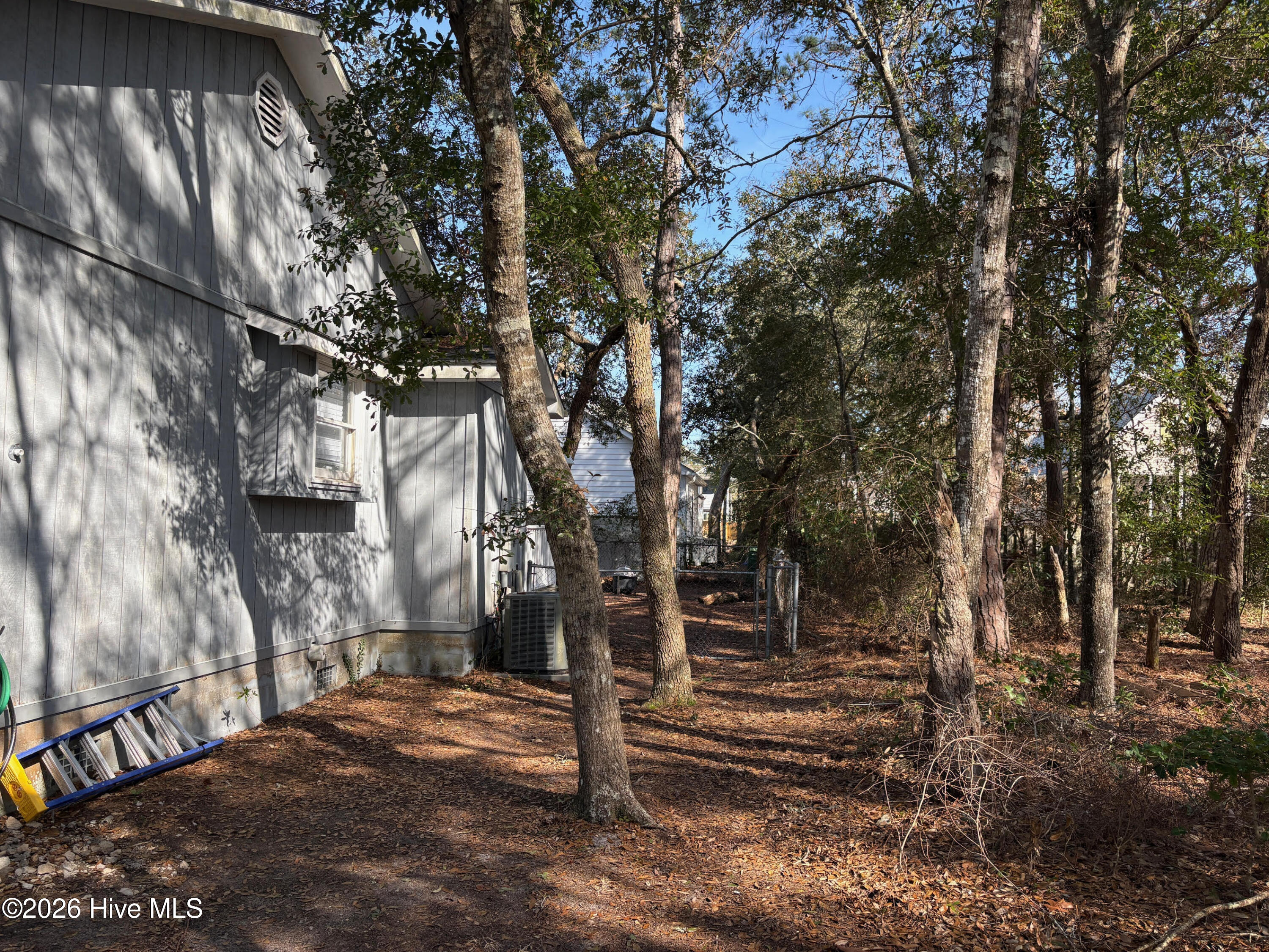 100557287 | Photo 12