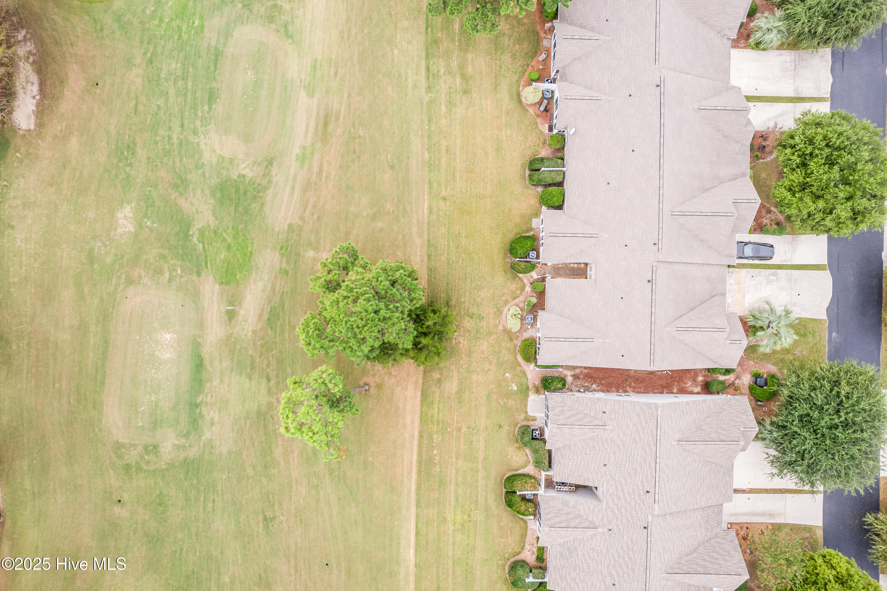 100537164 | Photo 46