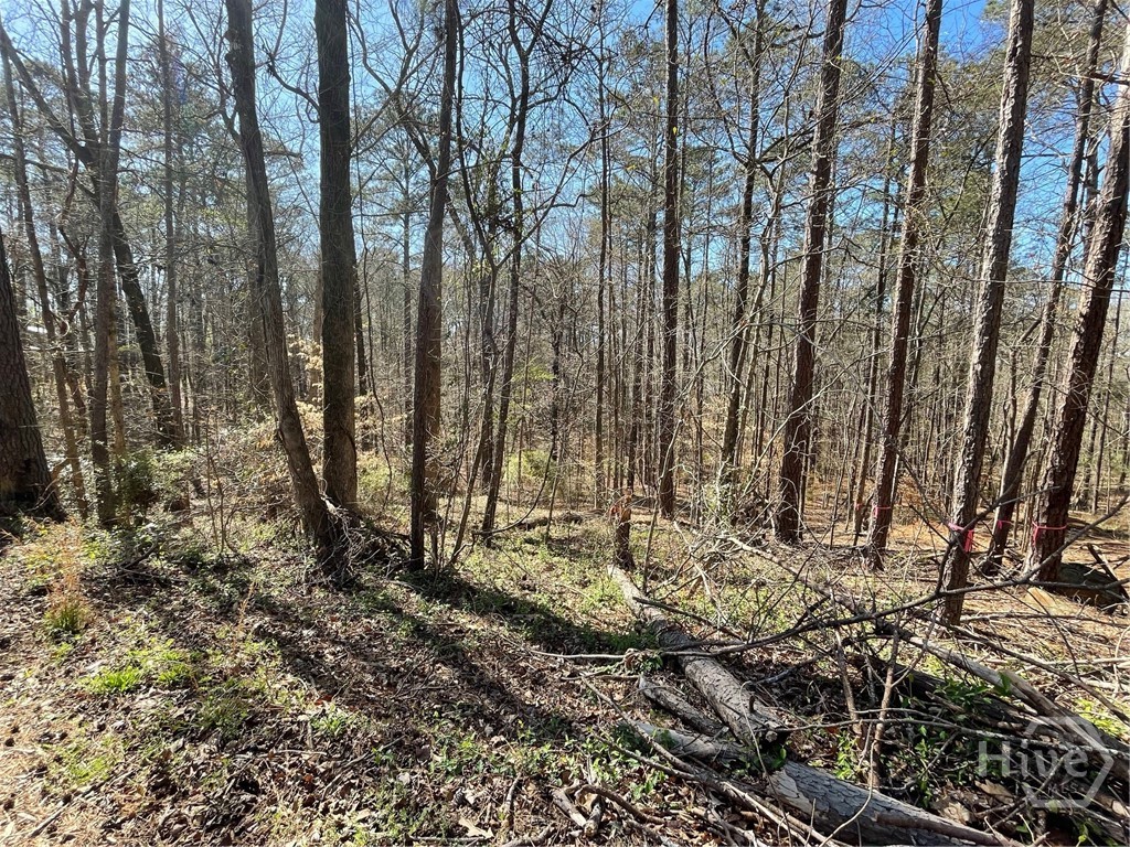 Lot 62 Warbler Lane, Monticello, GA, 31064