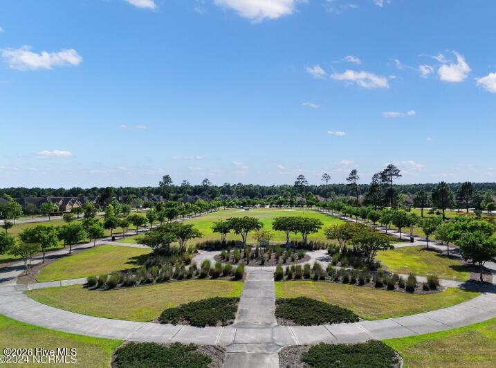 100549464 | Photo 33