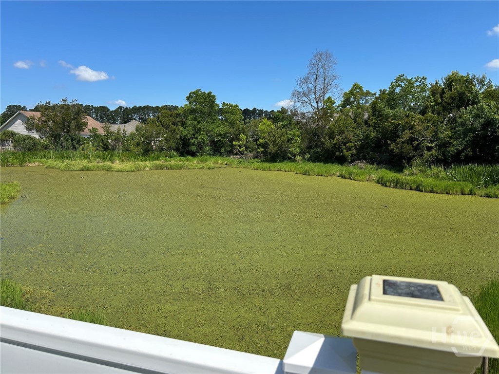 128 Berwick Lakes Boulevard, Pooler, GA 31322 Listing Photo  28