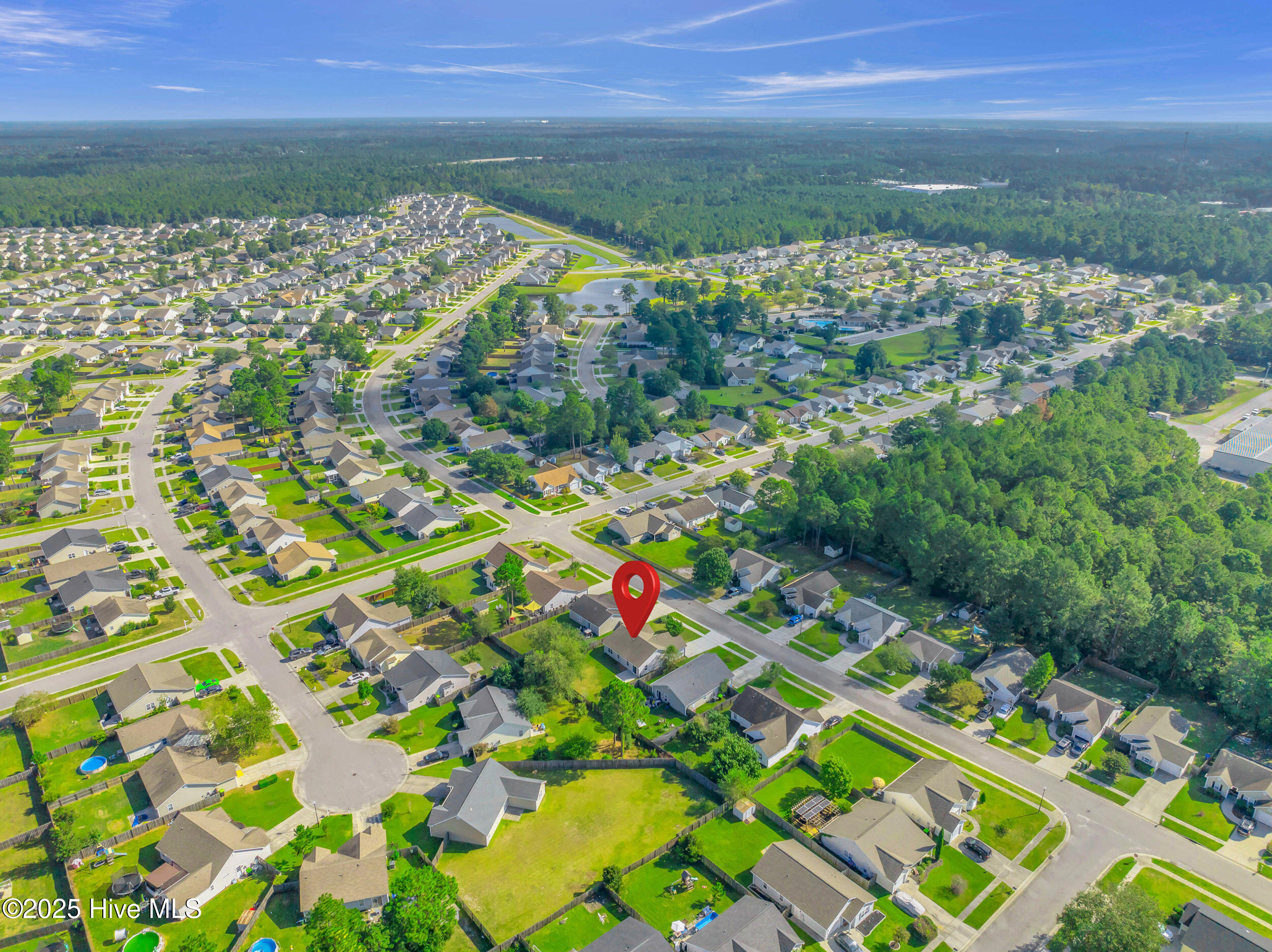 100531255 | Photo 43