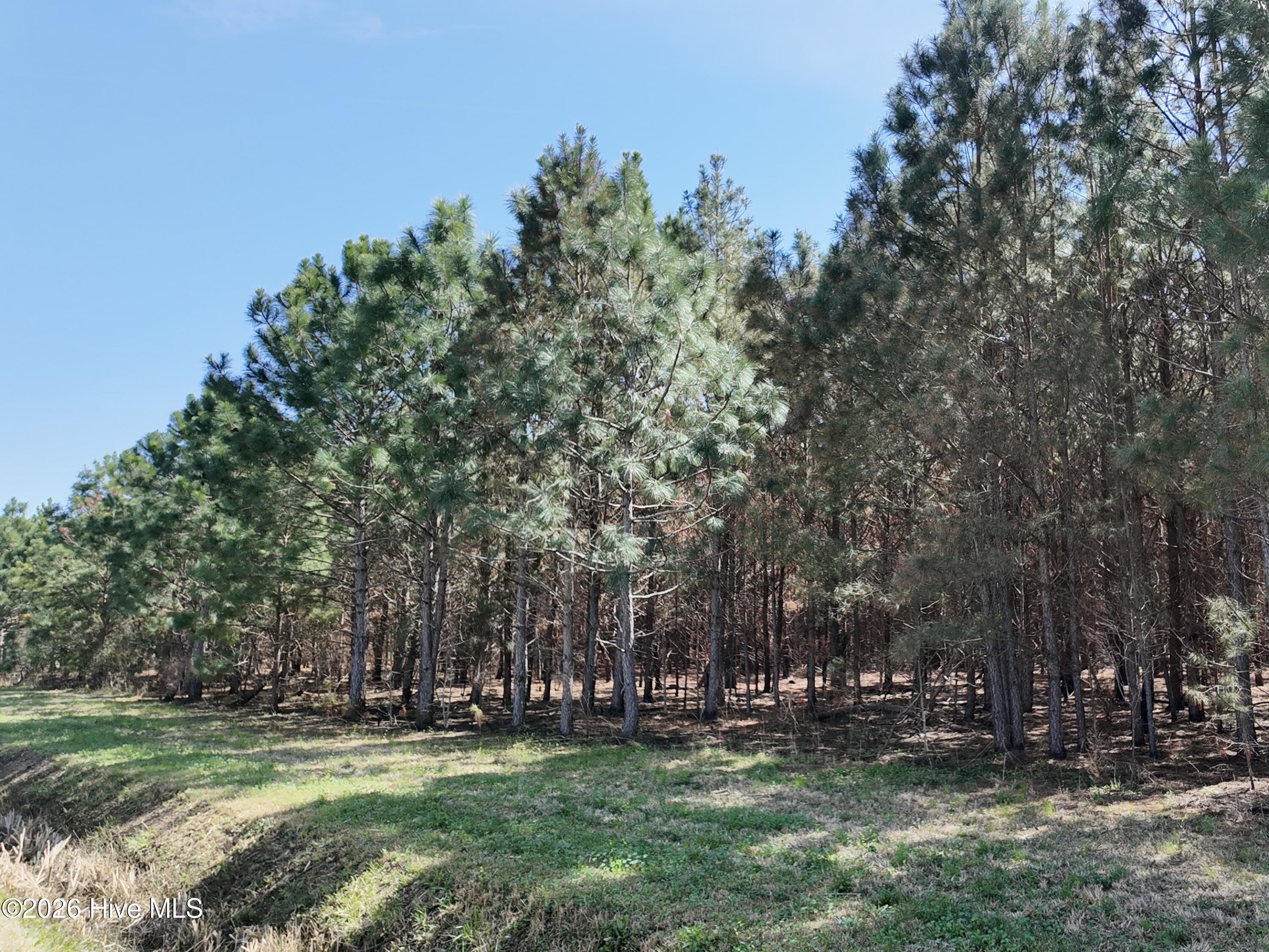 100560557 | Photo 25