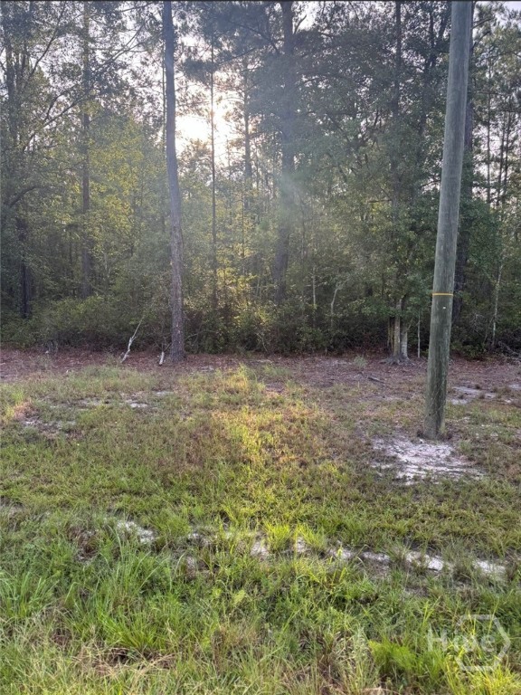 11th image of 0 Brogdon Rd, Guyton, GA 31312 | MLS# SA362574