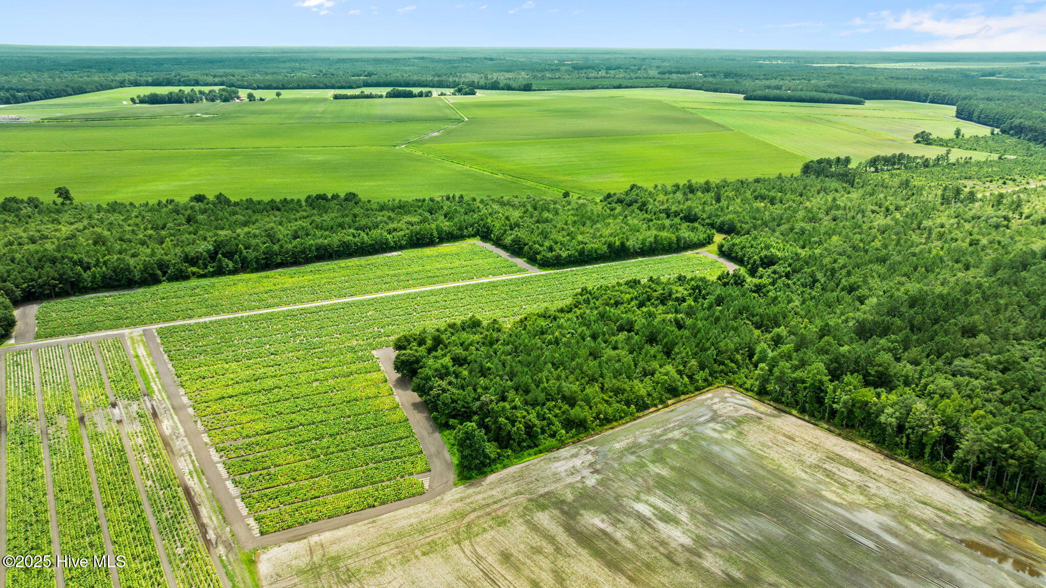 0 Green Sea Road, Garland, NC, 28441