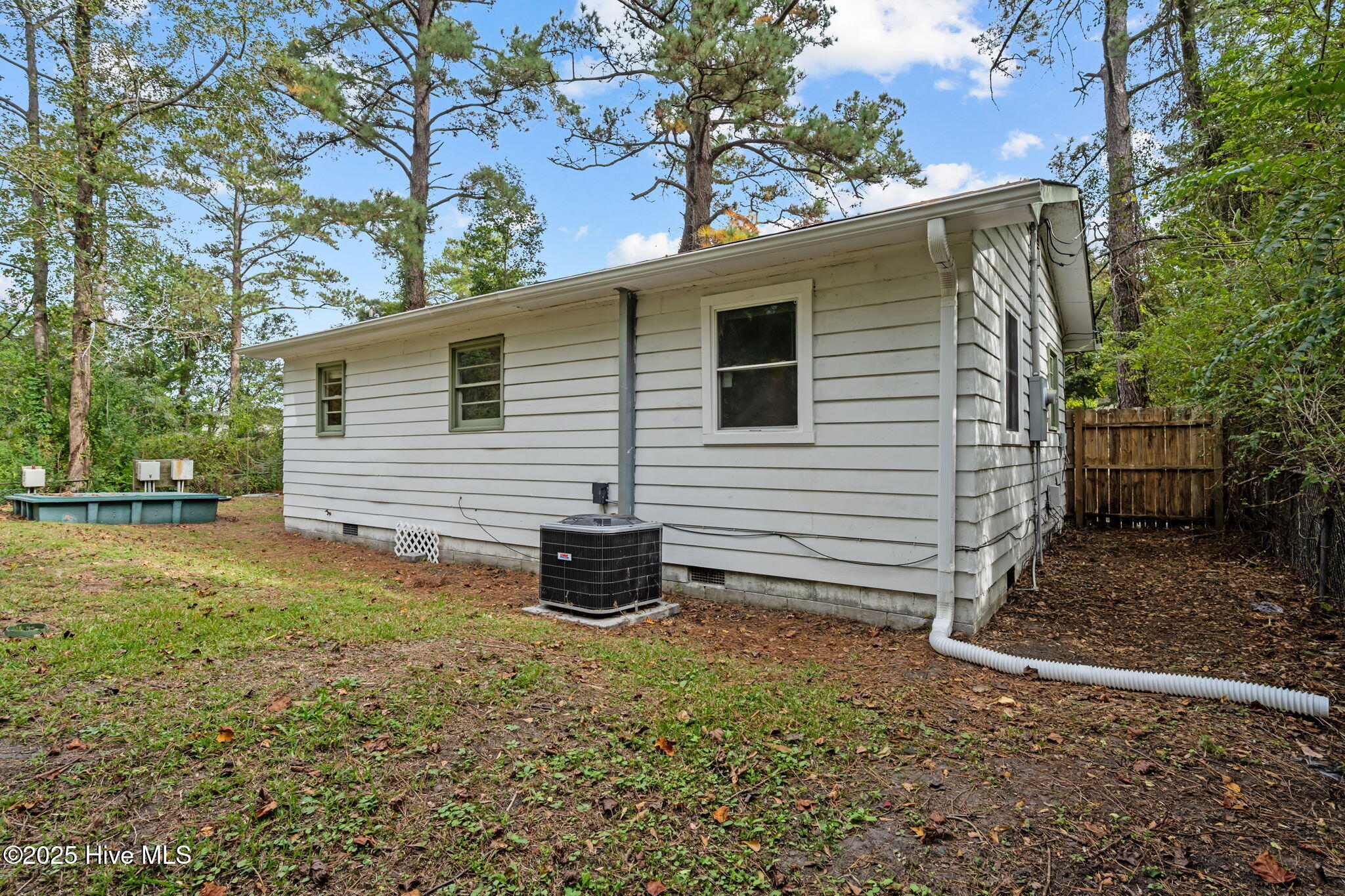 100536002 | Photo 39