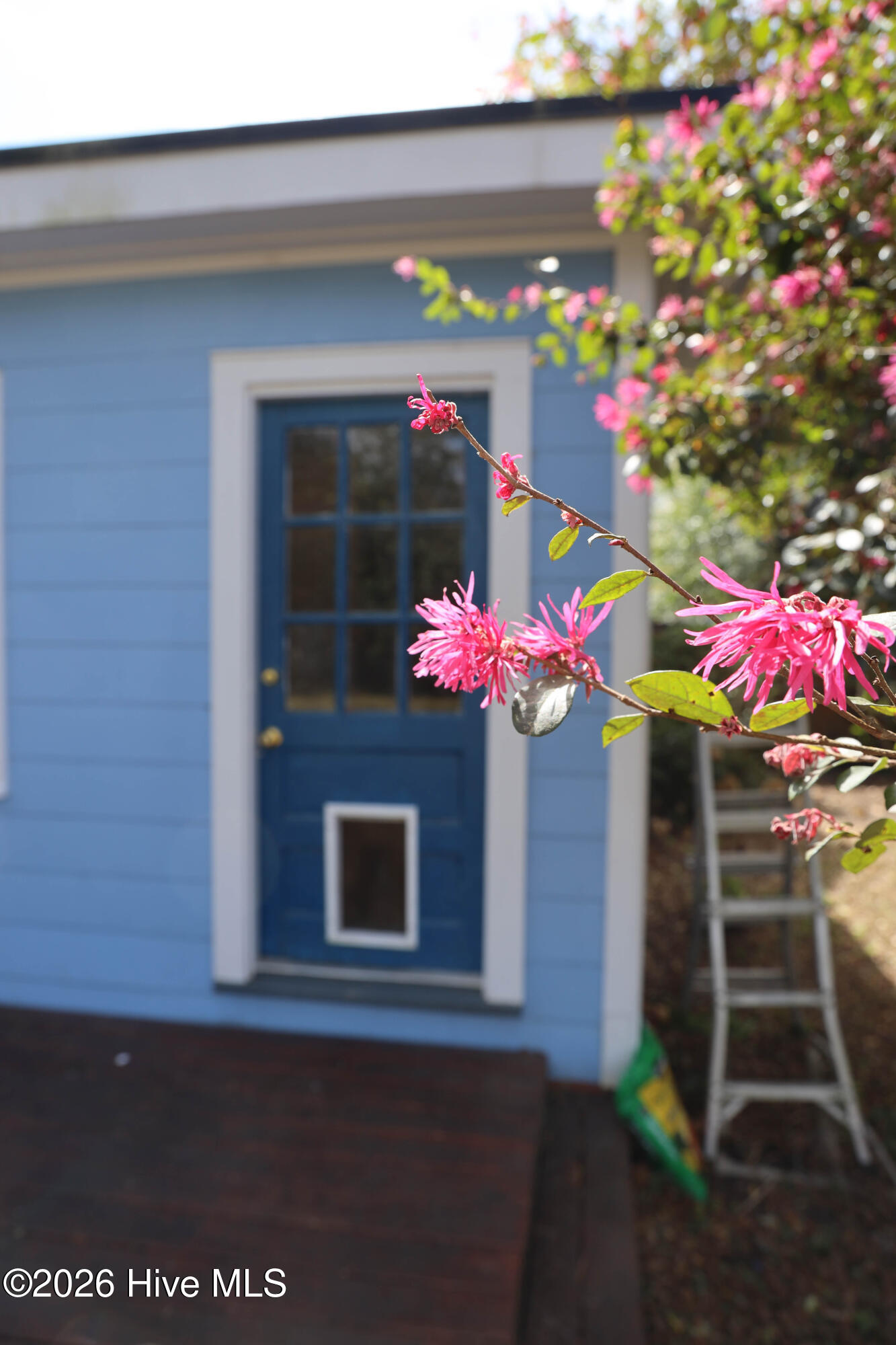 100560298 | Photo 42