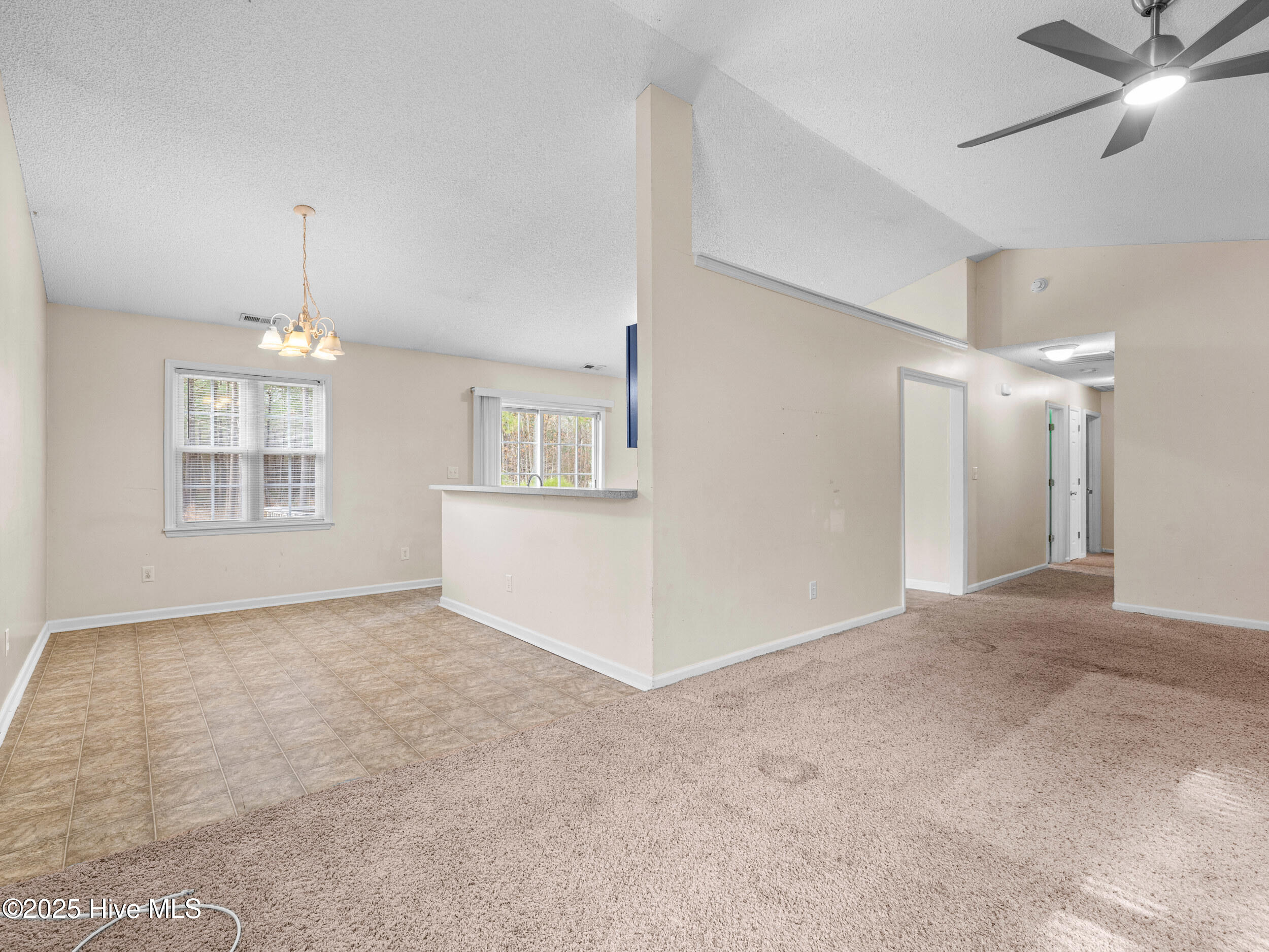 100546613 | Photo 13