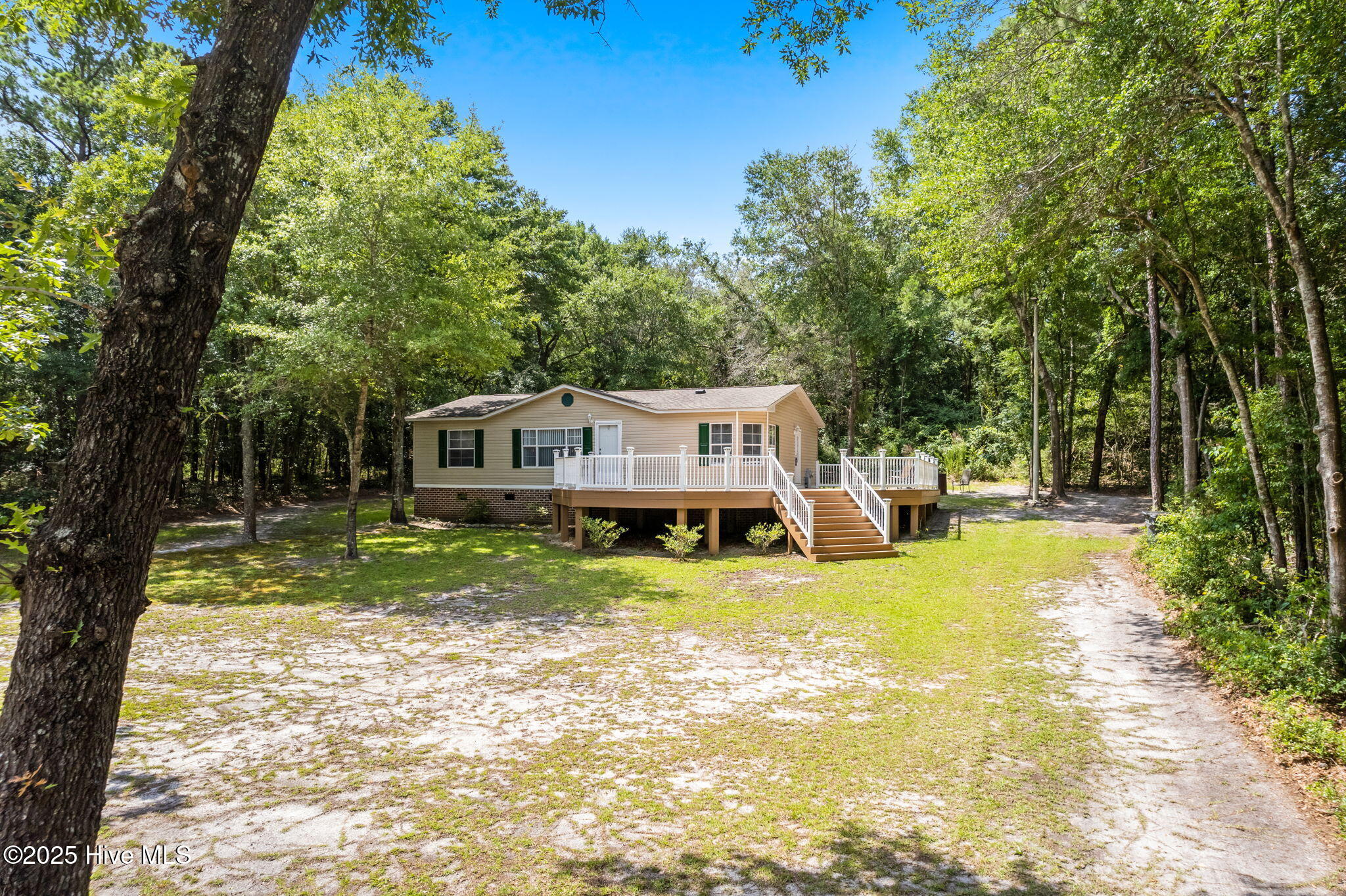 100515279 | Photo 14