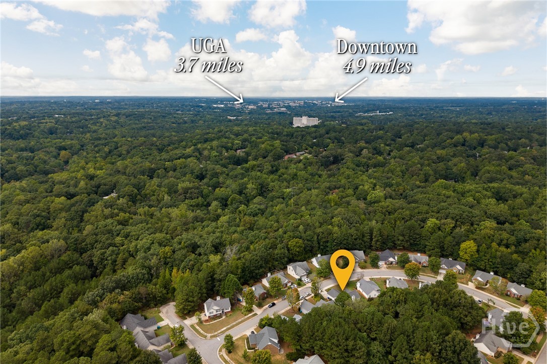 315 Tall Pine Lane