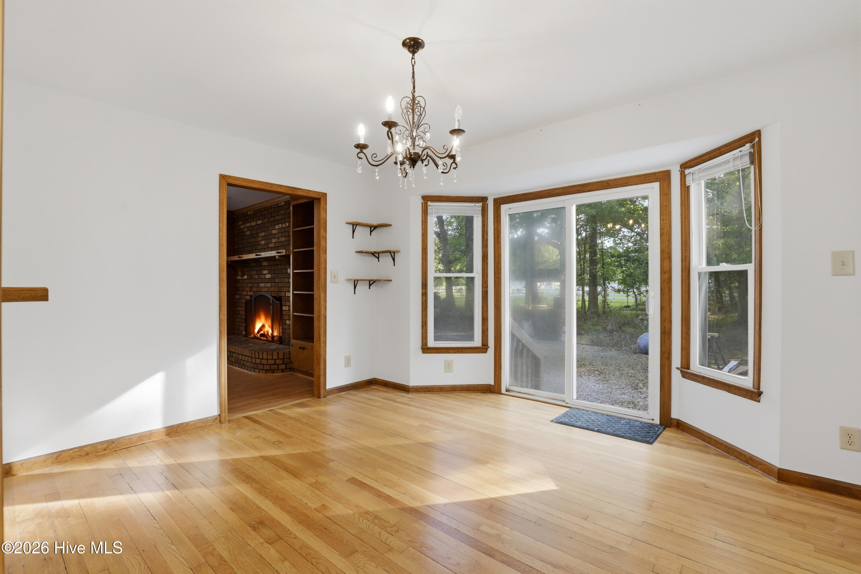 100569494 | Photo 37