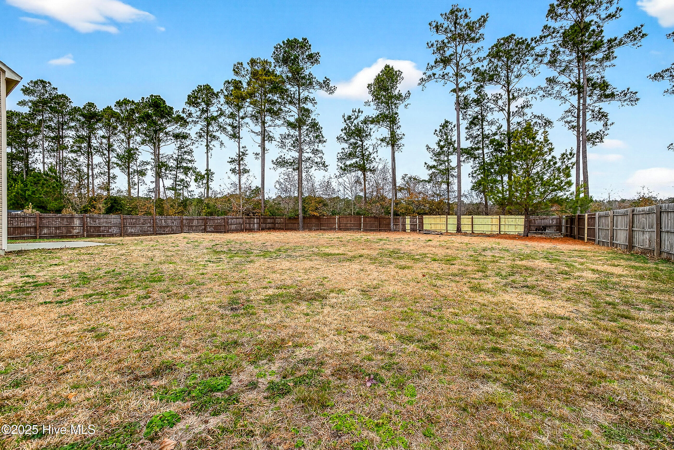 100546178 | Photo 30