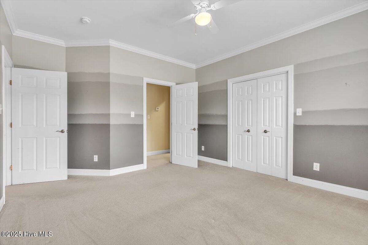 100534566 | Photo 82