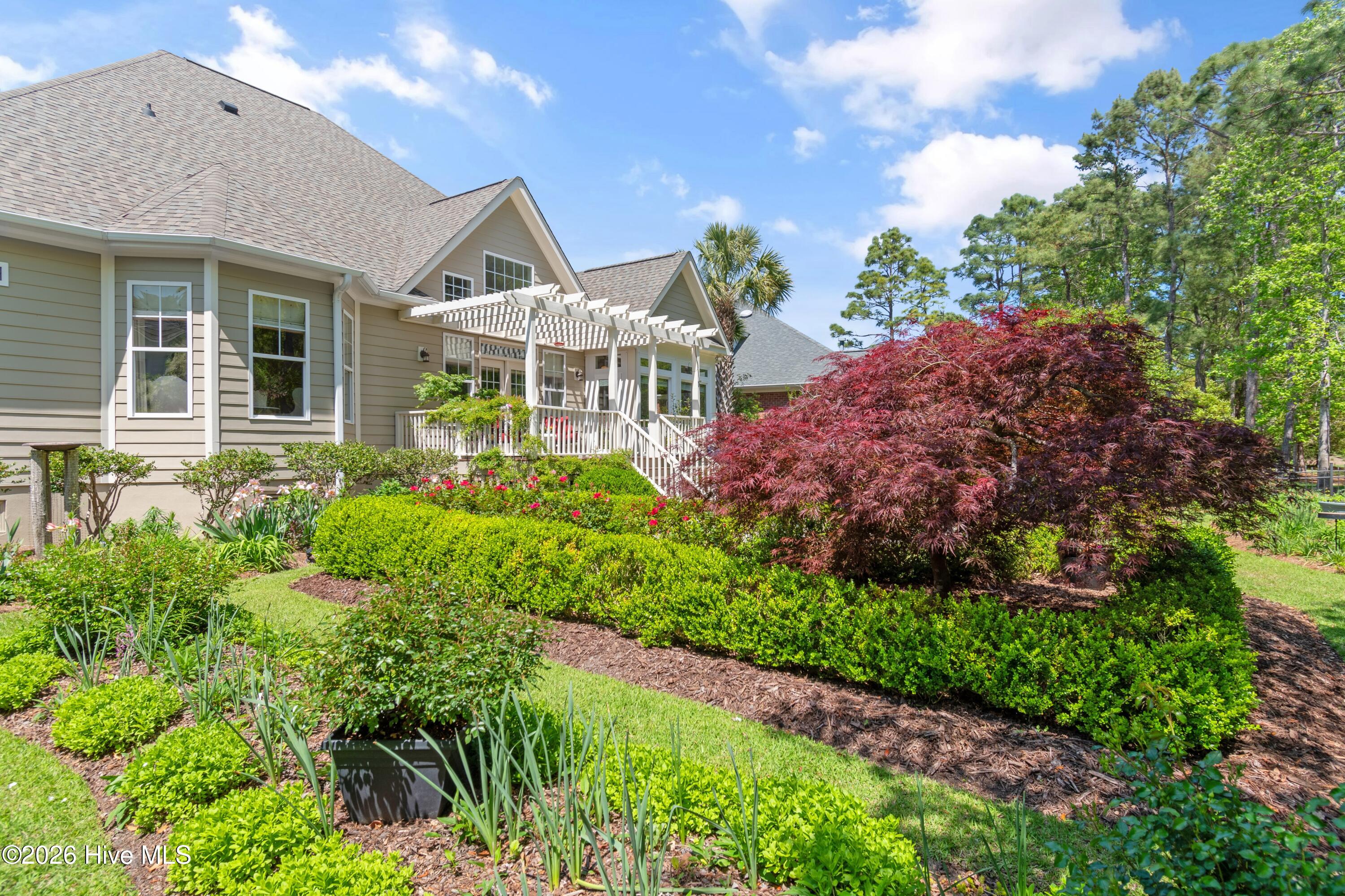 100567309 | Photo 66