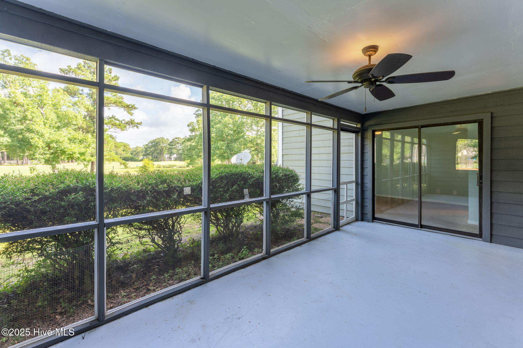 100519799 | Photo 37