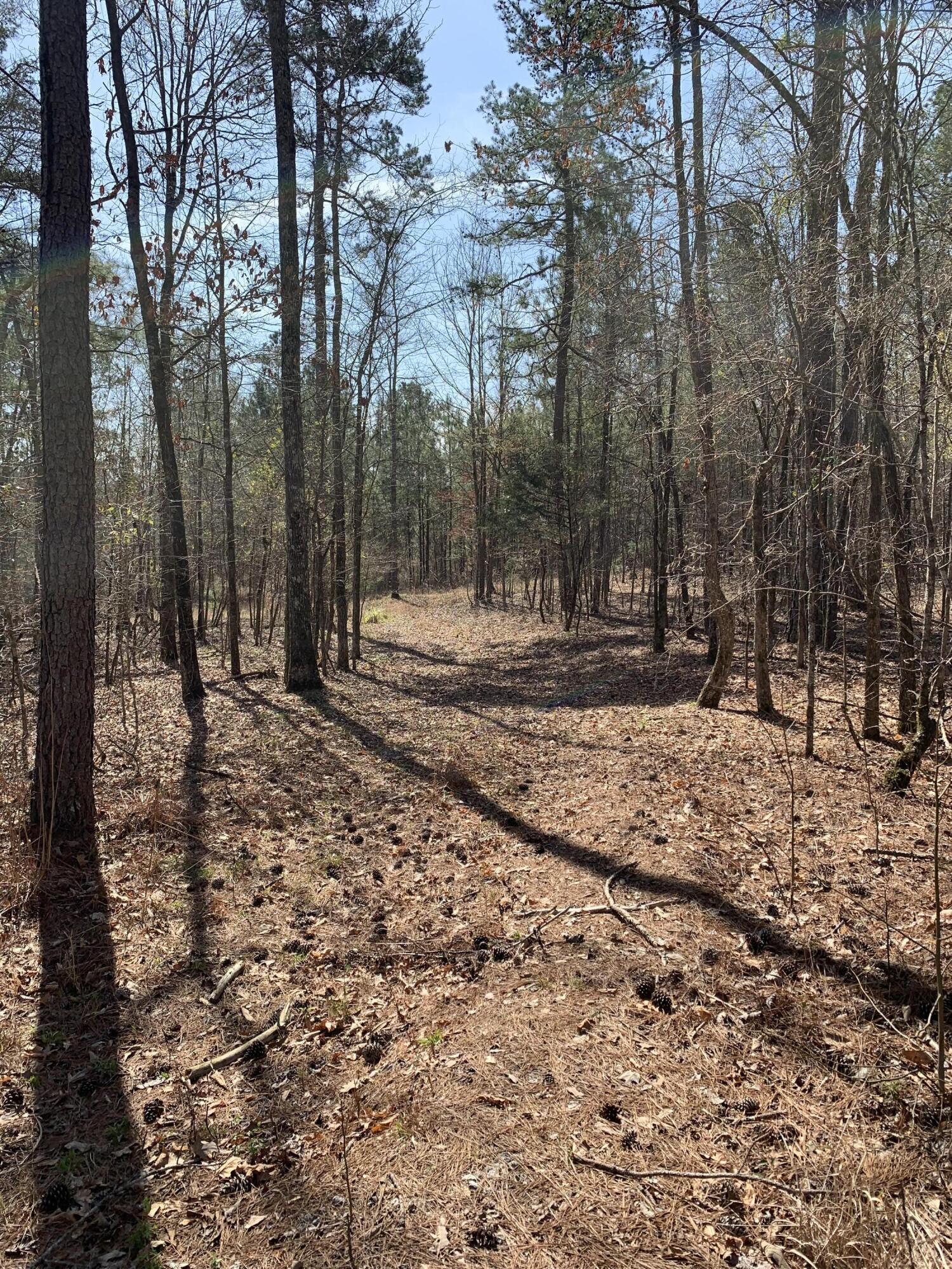 1403 TANYARD CREEK Drive, Thomson, GA, 30824