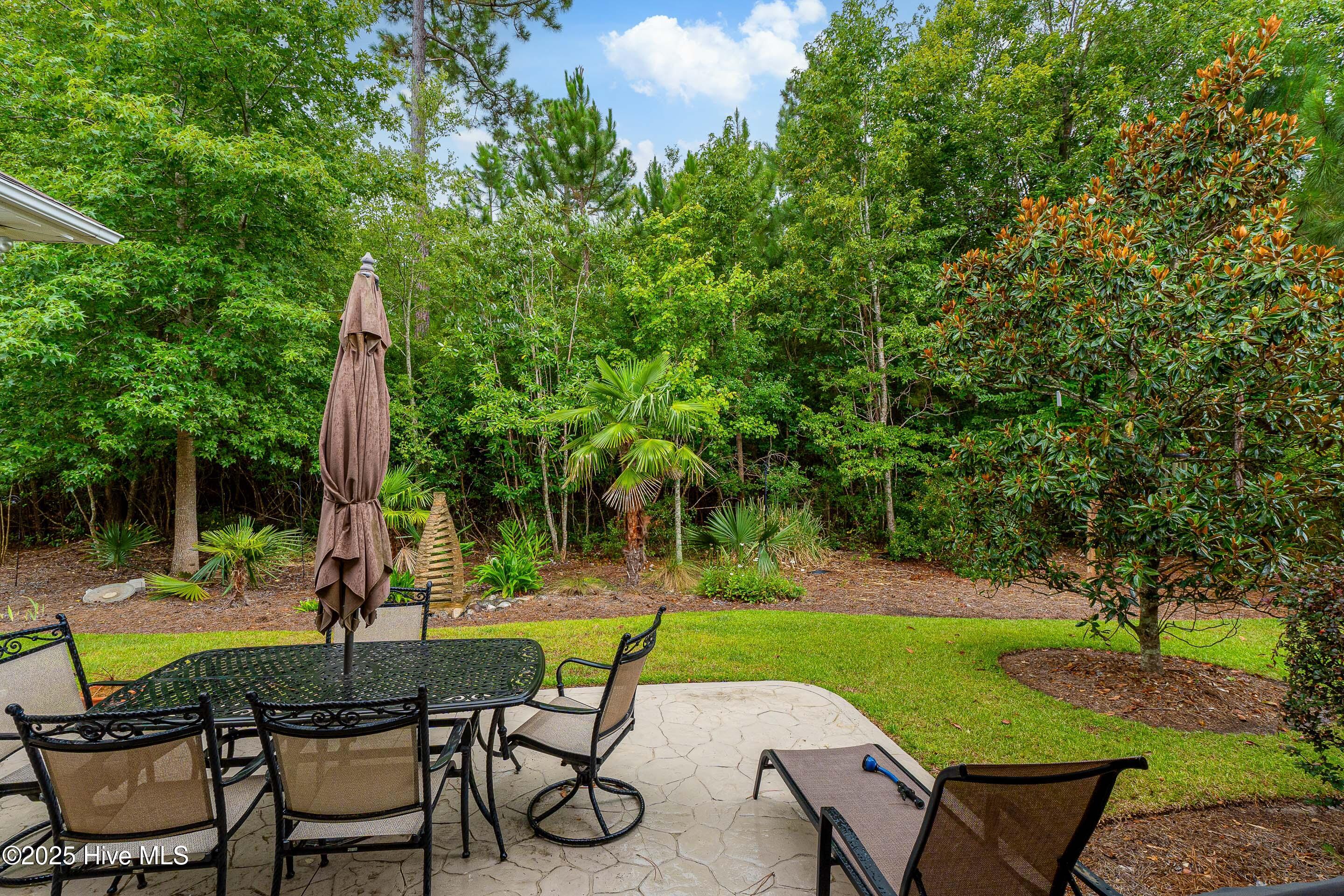 100481960 | Photo 71