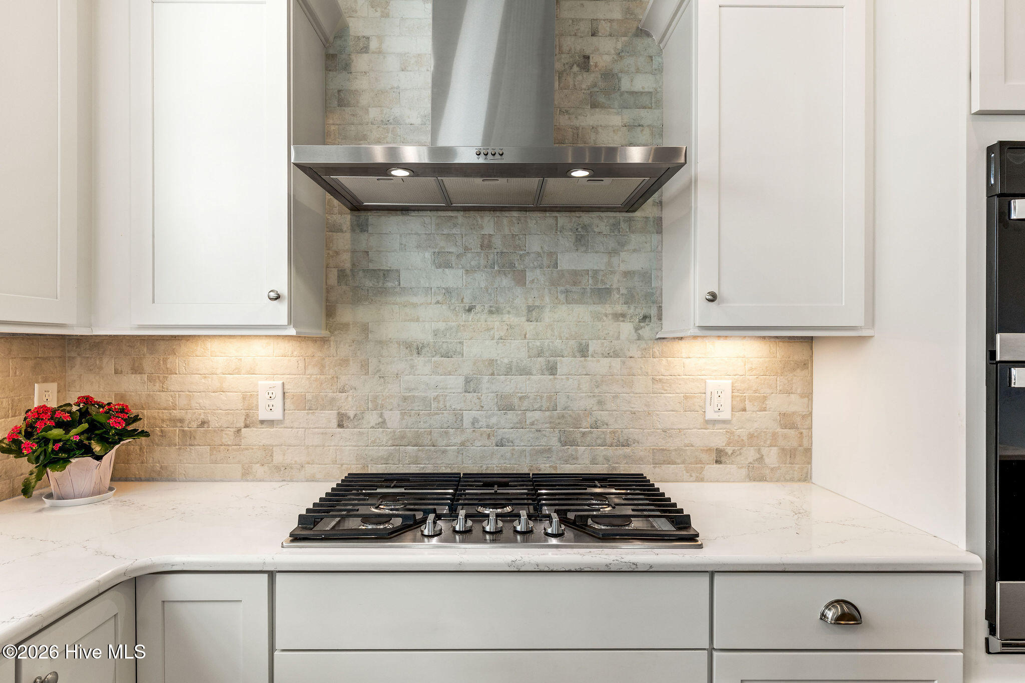 100548010 | Photo 11