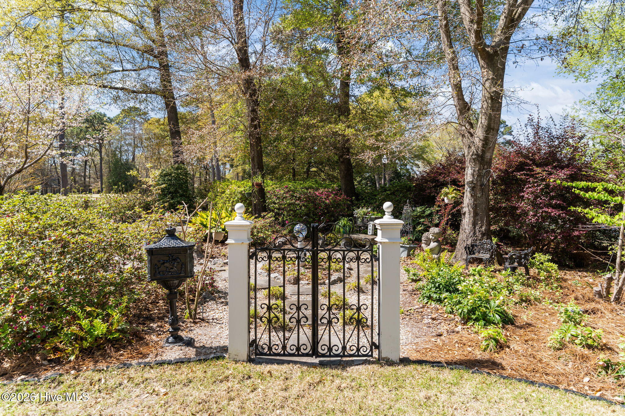 100564418 | Photo 49