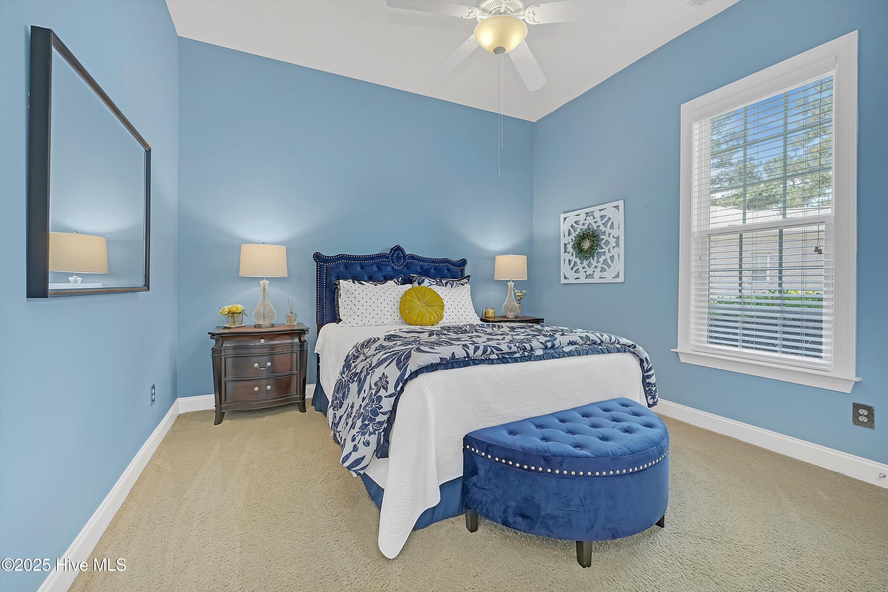 100547975 | Photo 23