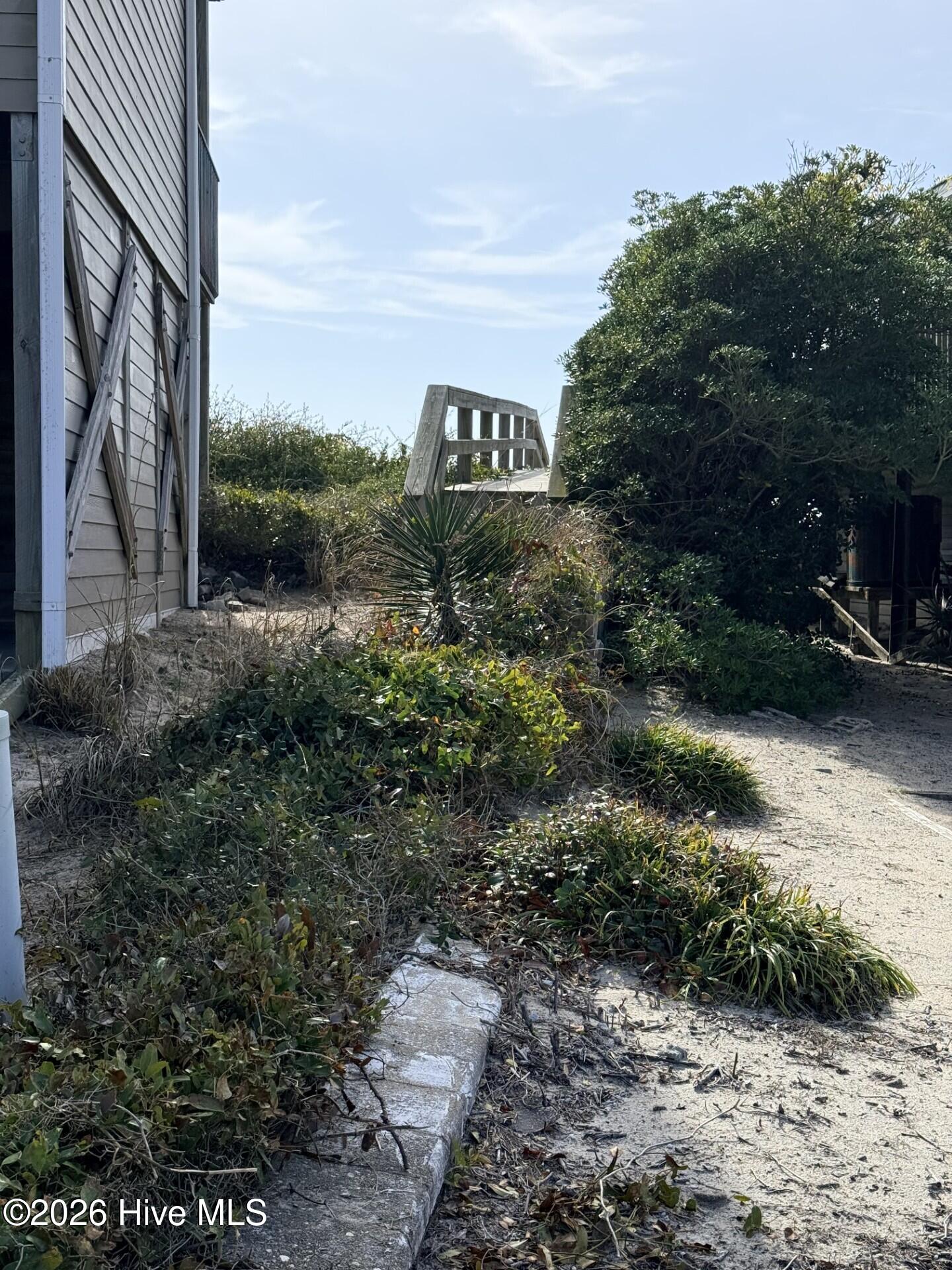 100559194 | Photo 38