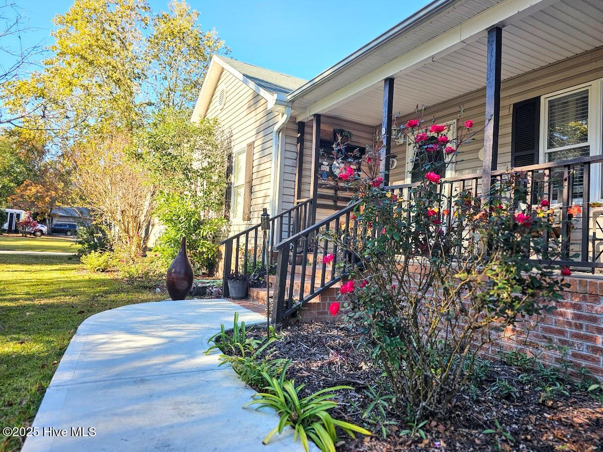 100540001 | Photo 39