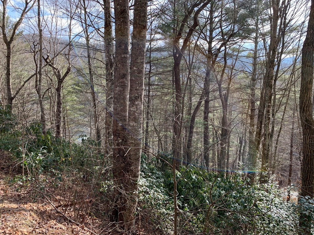 Homes for sale in Nantahala, NC | Lot# 10 Forest Vista Ln, Nantahala, NC 28781 | MLS# 98544397