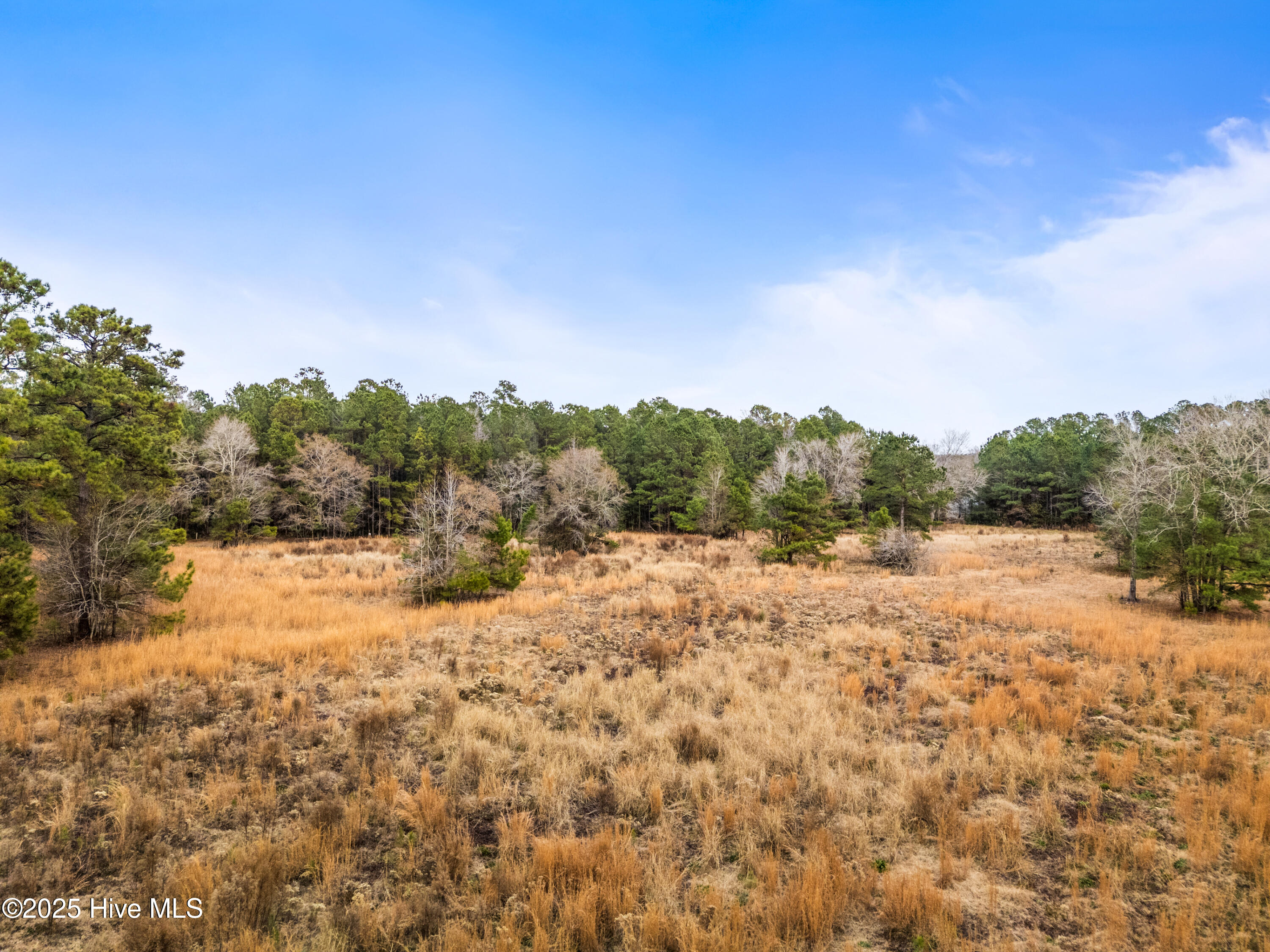 100546785 | Photo 25