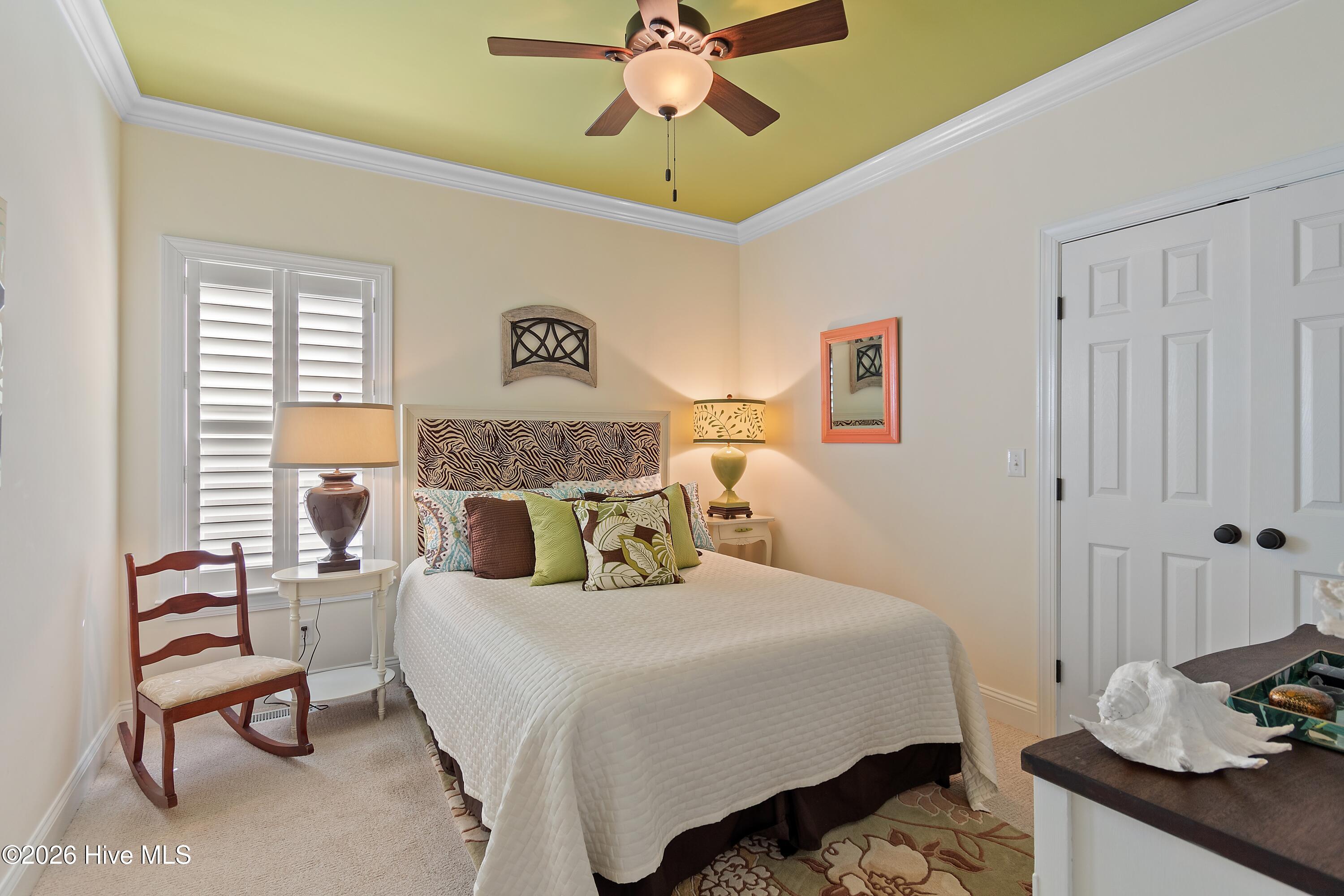 100558702 | Photo 47