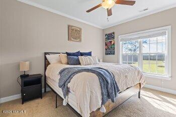 100559576 | Photo 22