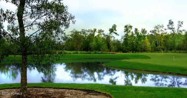 100528717 | Photo 24