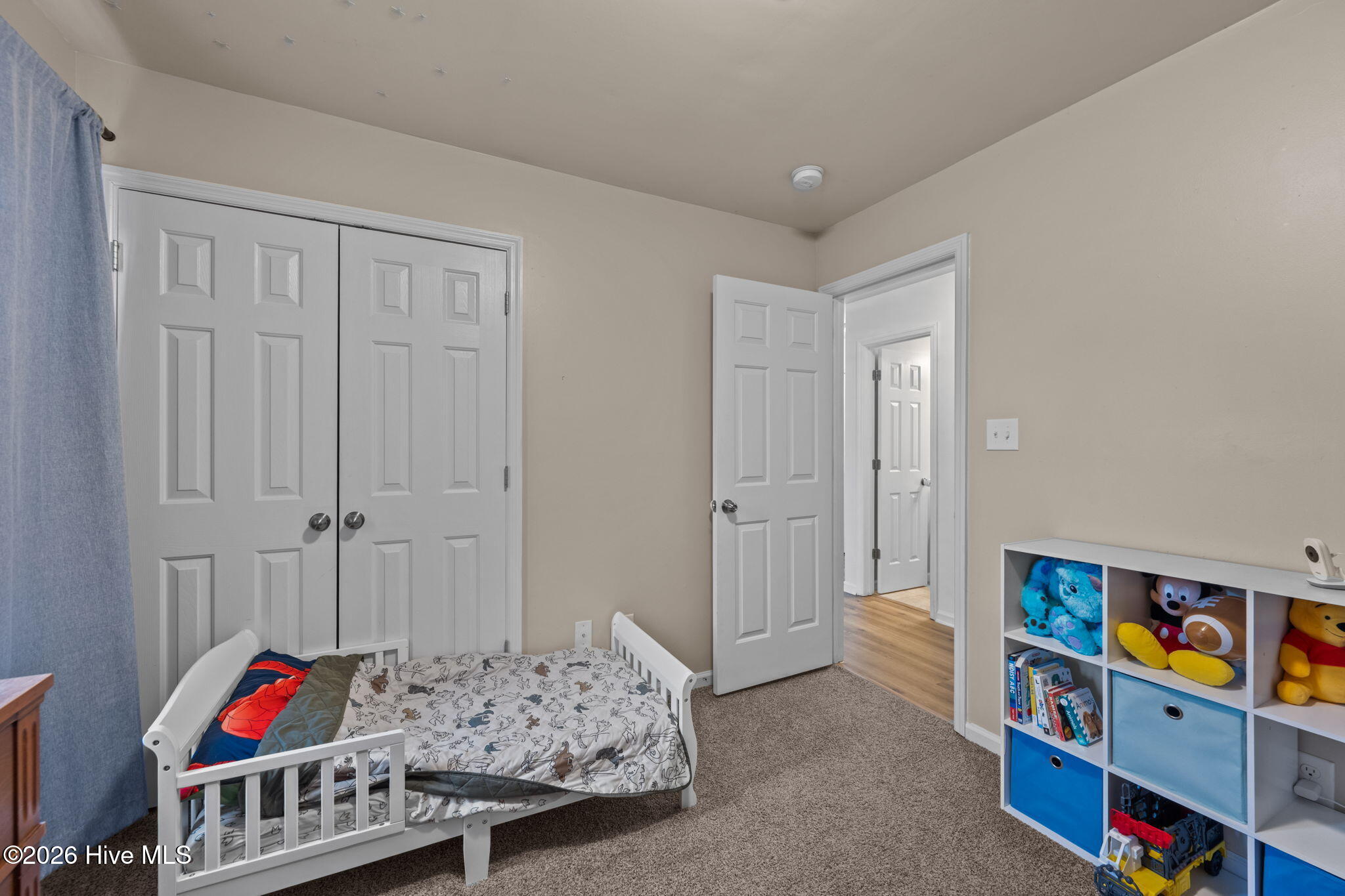 100554130 | Photo 23