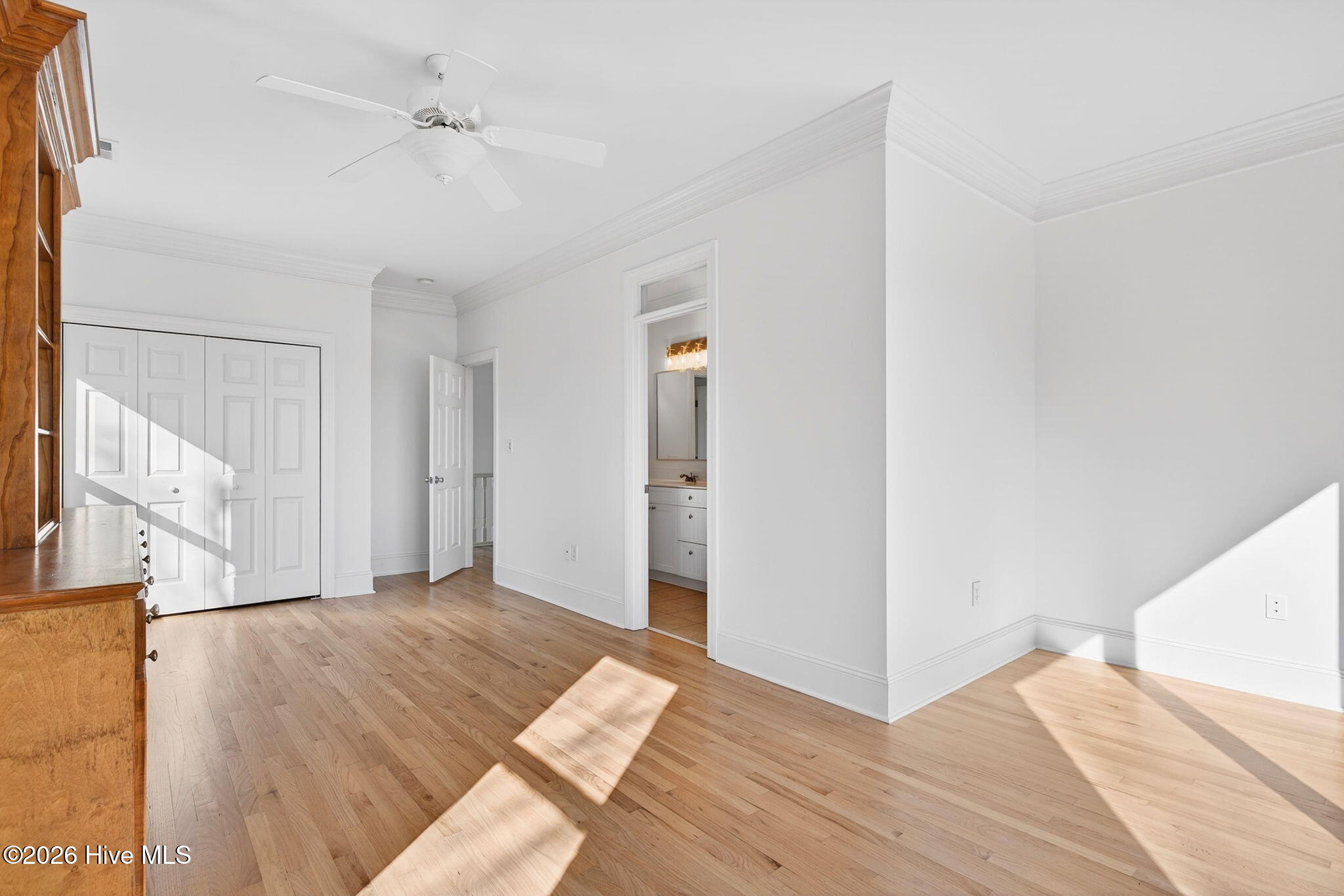 100555125 | Photo 29