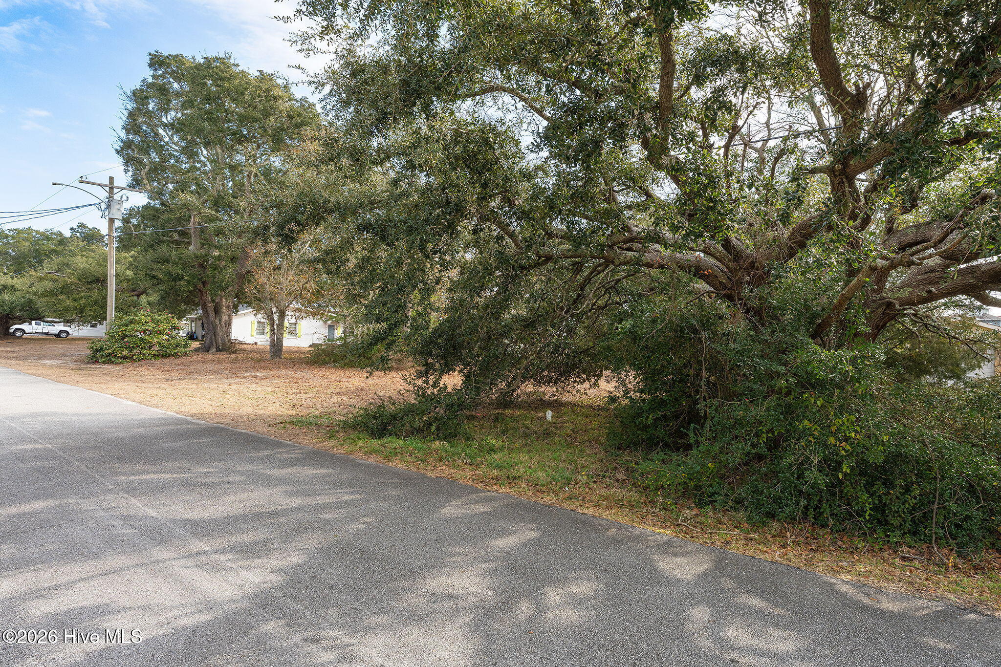 100548589 | Photo 27