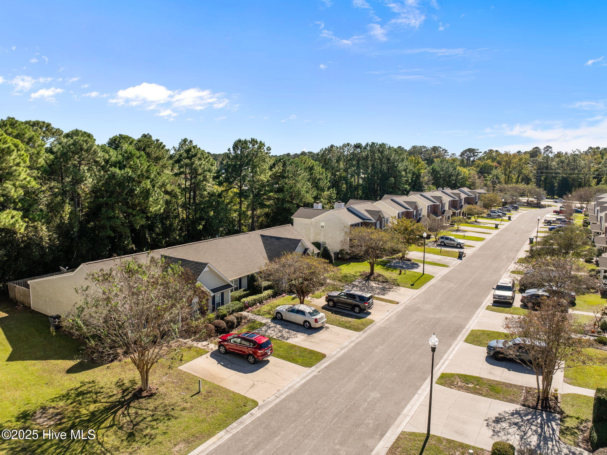 100537421 | Photo 29