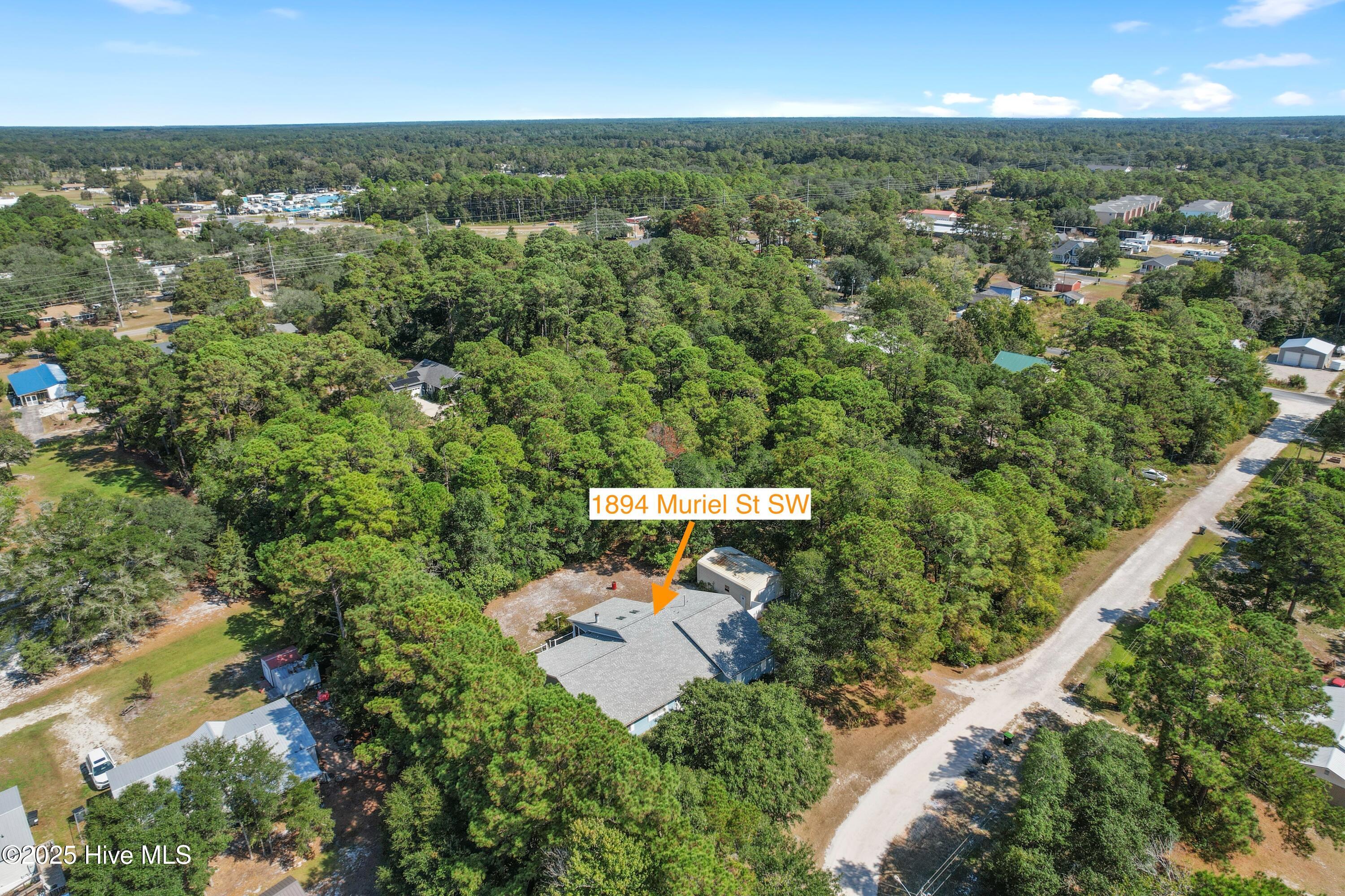 100533822 | Photo 49