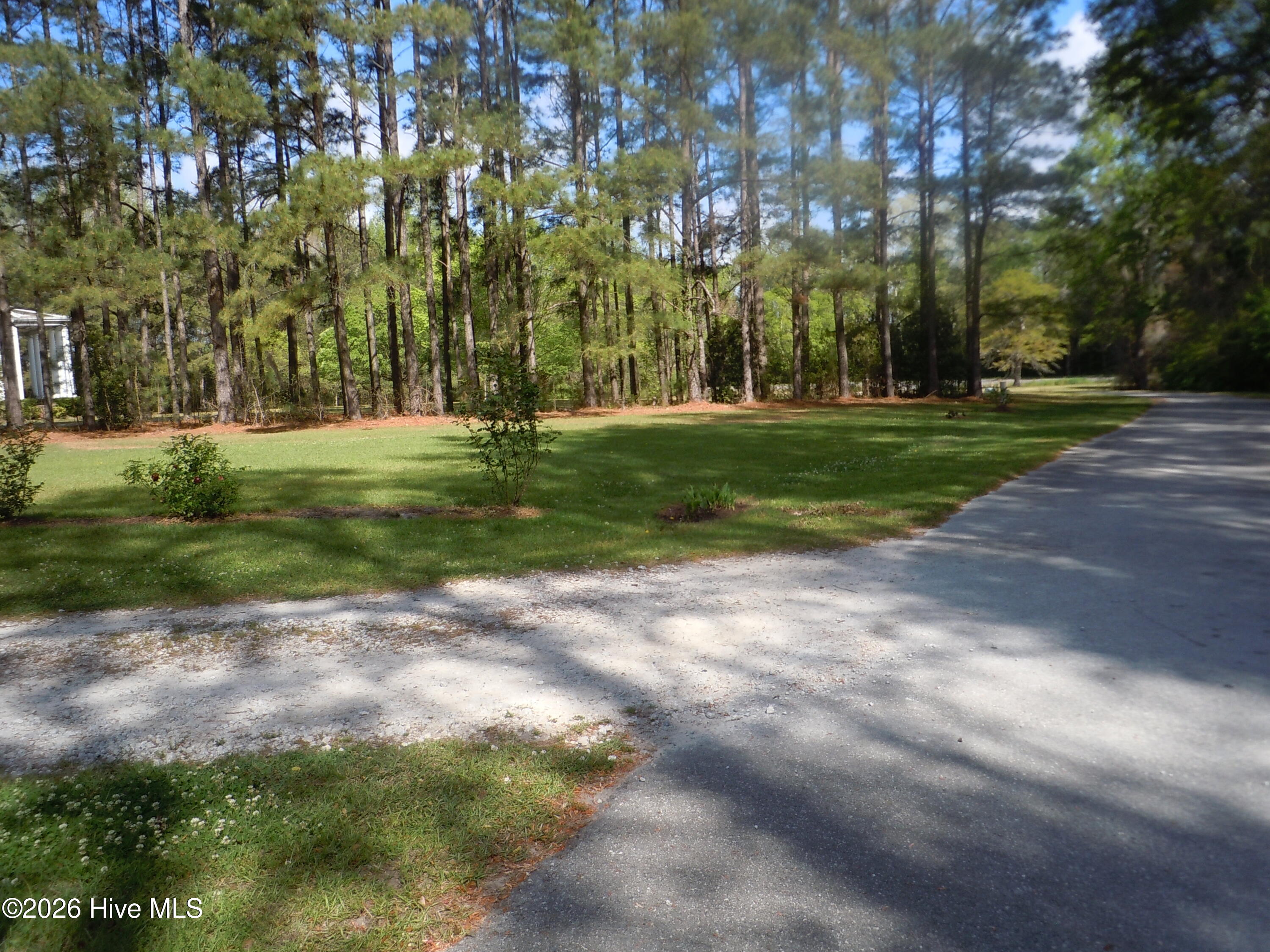 100565129 | Photo 109