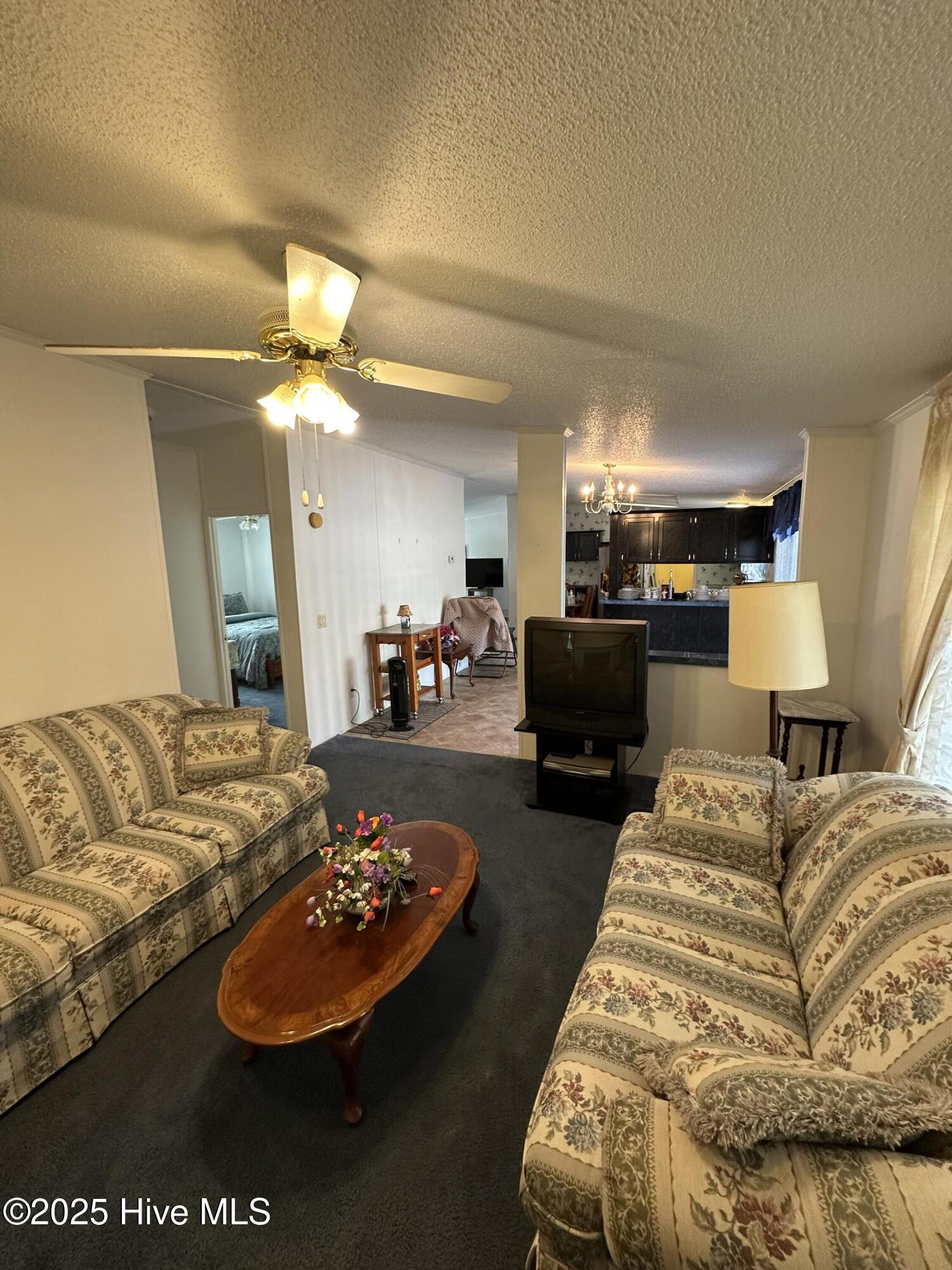 100539066 | Photo 11