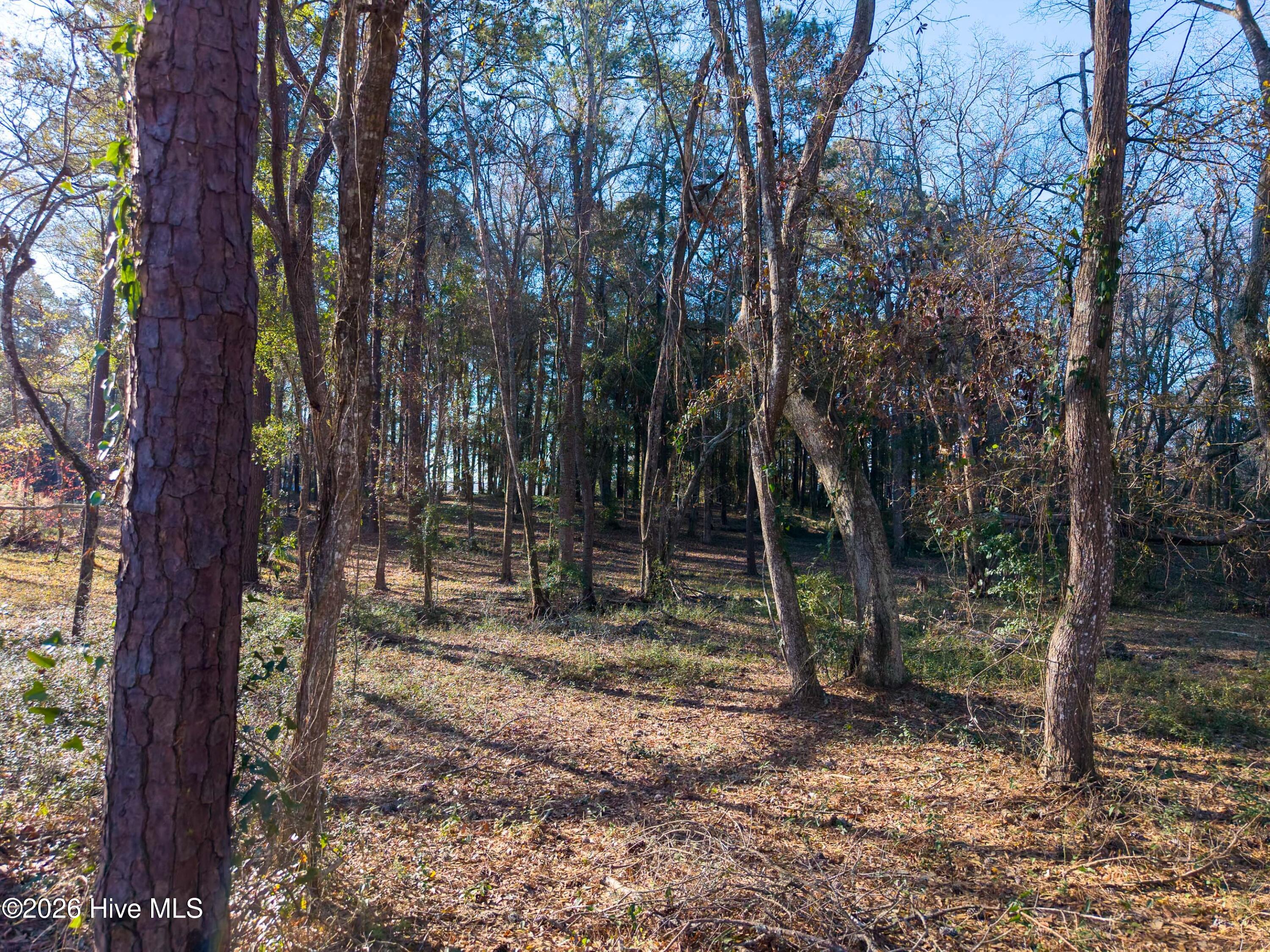 100562010 | Photo 10