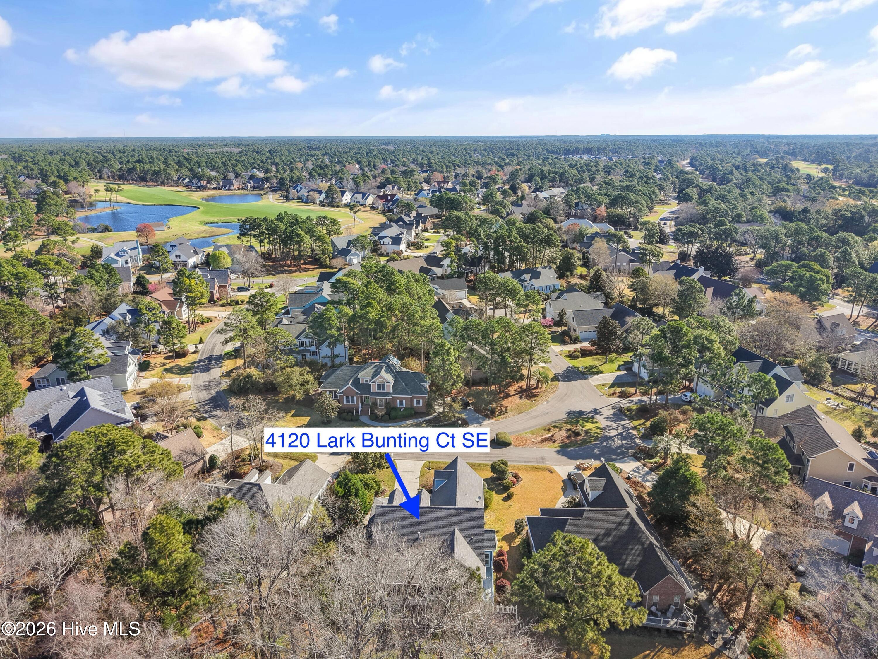 100561490 | Photo 55