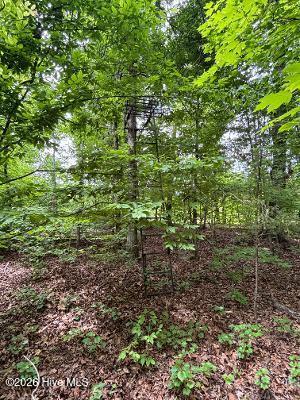 4th image of 1188 Long Cane Rd, Edgefield, SC 29824 | MLS# 100592774