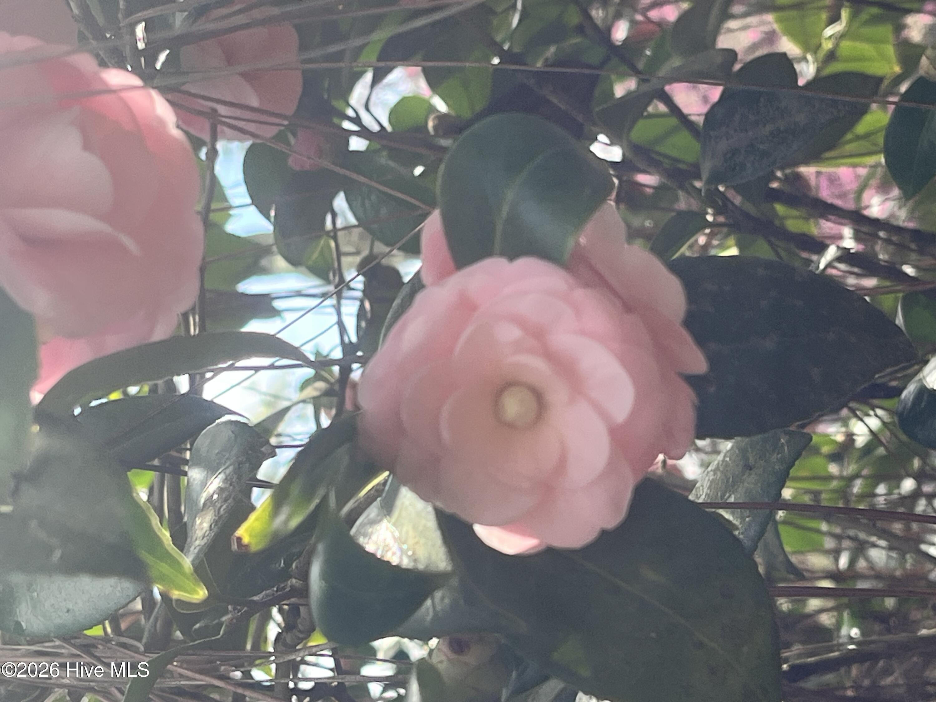 4 Augusta Way, Pinehurst, NC, 28374