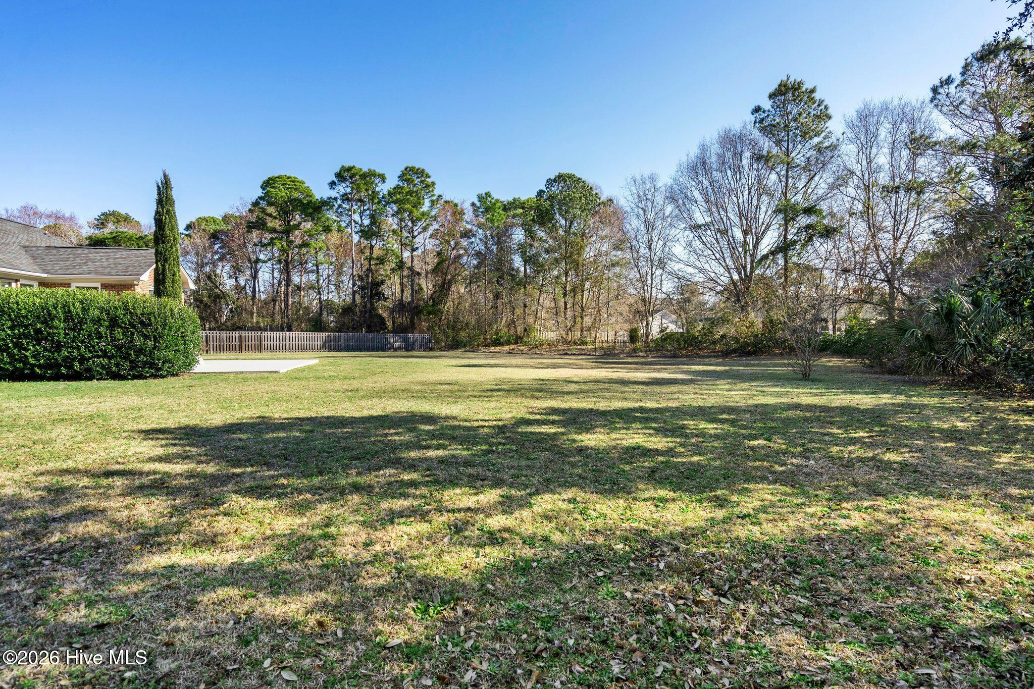 100556381 | Photo 47