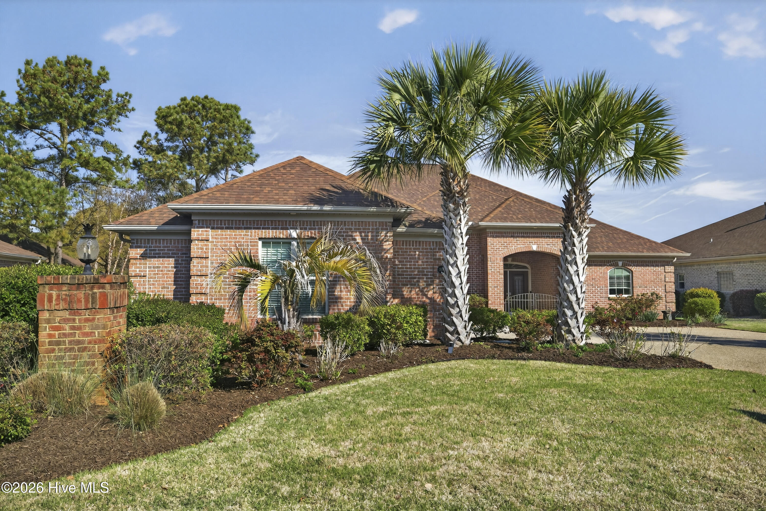 100562254 | Photo 47