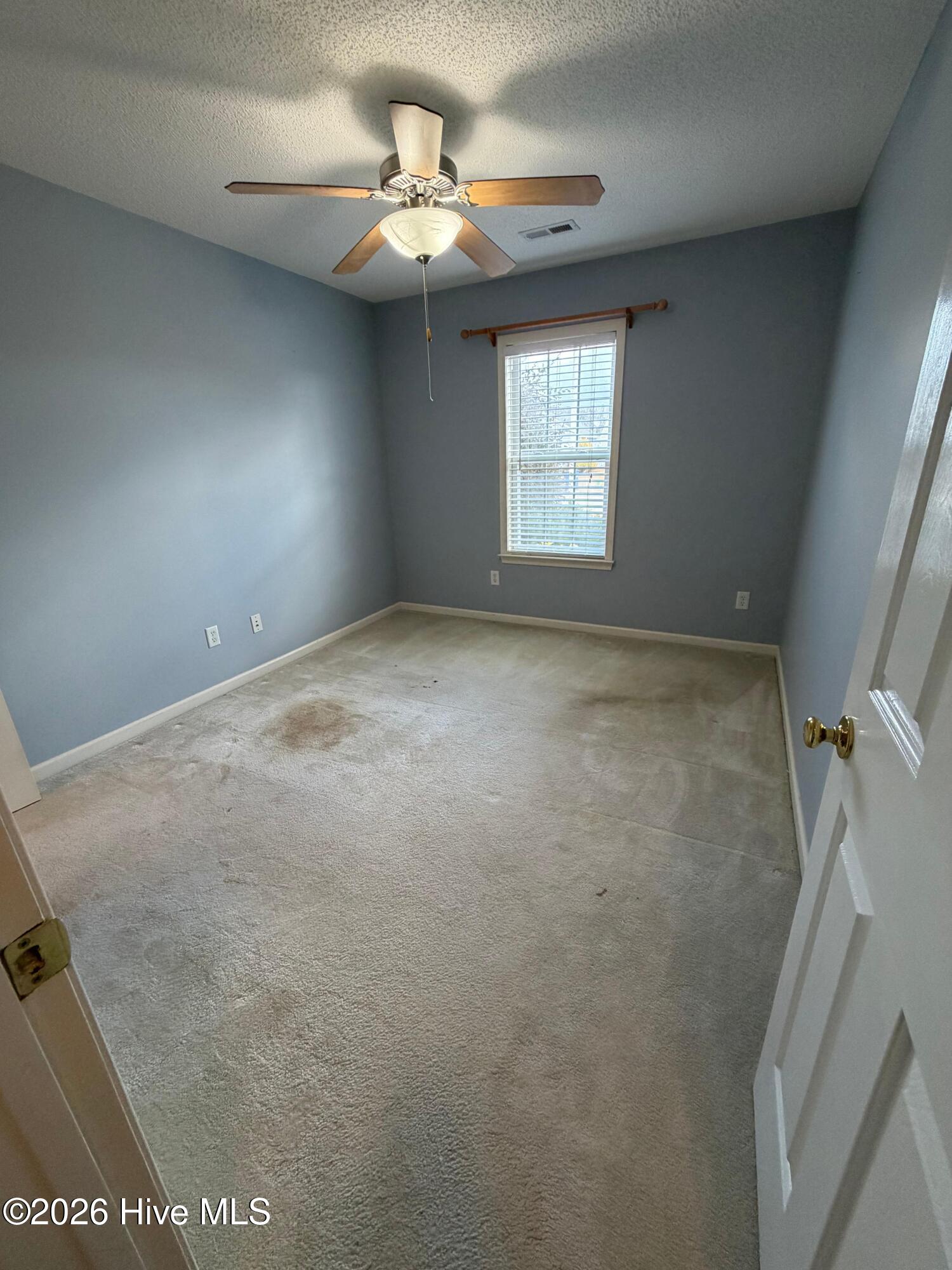 100548019 | Photo 15