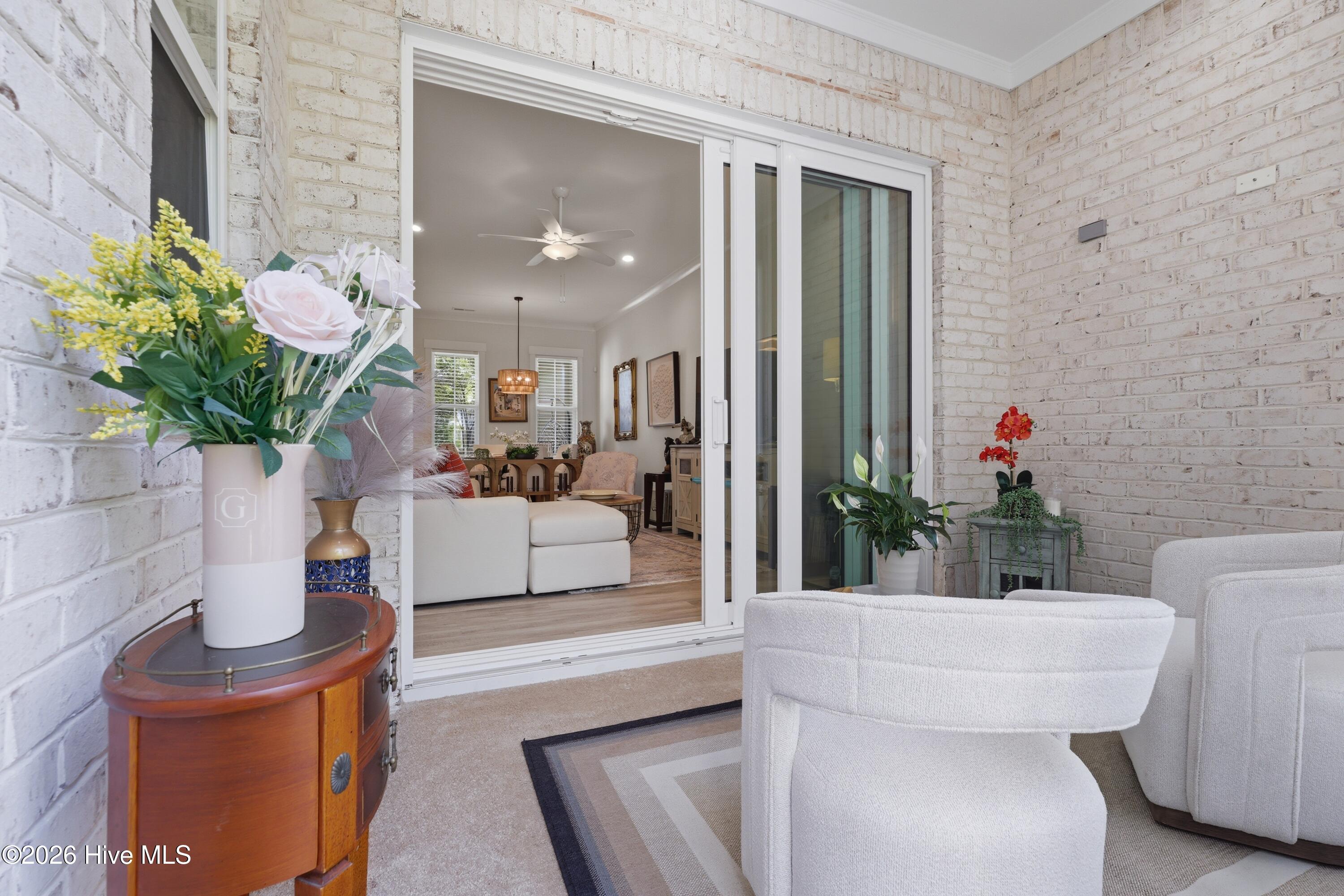 100568121 | Photo 34