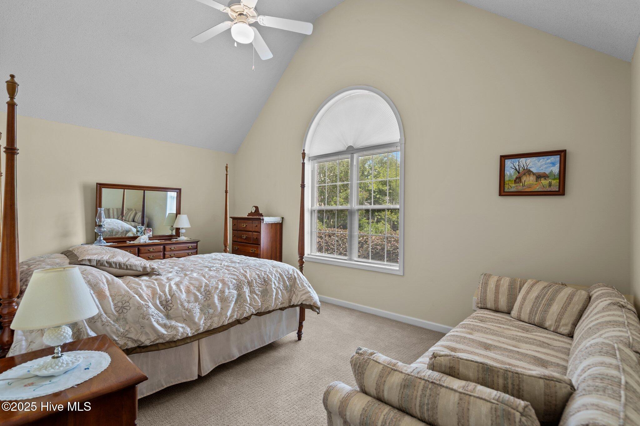 100515832 | Photo 40